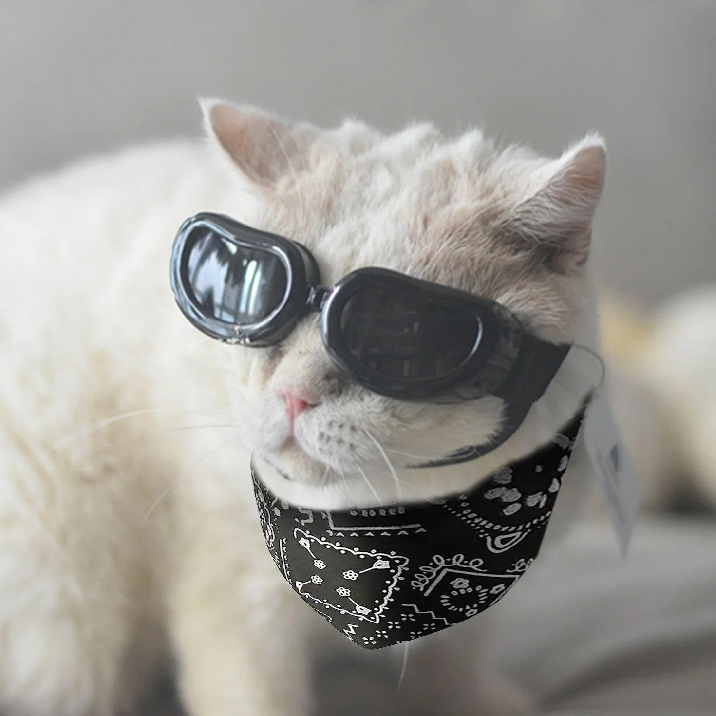 1 okulary dla małych psów i 1 x bandana dla psa, regulowane okulary, akcesoria dla zwierząt domowych, okulary przeciwsłoneczne dla psów, akcesoria do bandaży dla zwierząt domowych