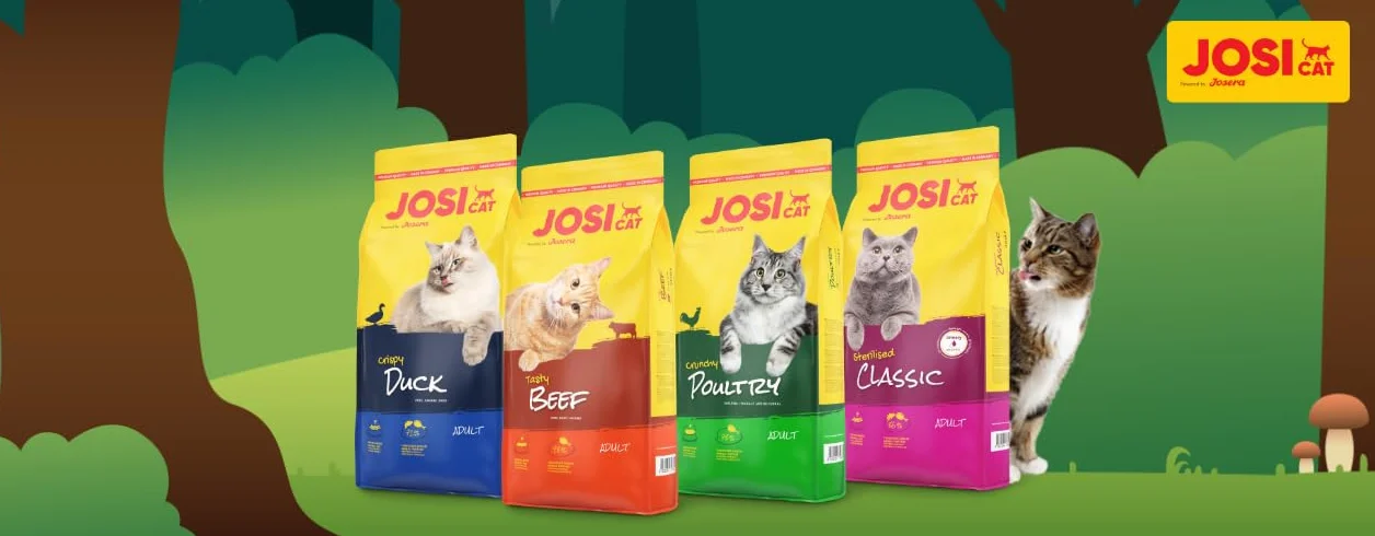 JosiCat Kitten (1 x 10 kg) | Karma dla kotów o wysokiej zawartości energii i cennym olejku z łososia i witamin, sucha karma premium dla rosnących i karmiących kotów, Powered by JOSERA, 1 szt. w