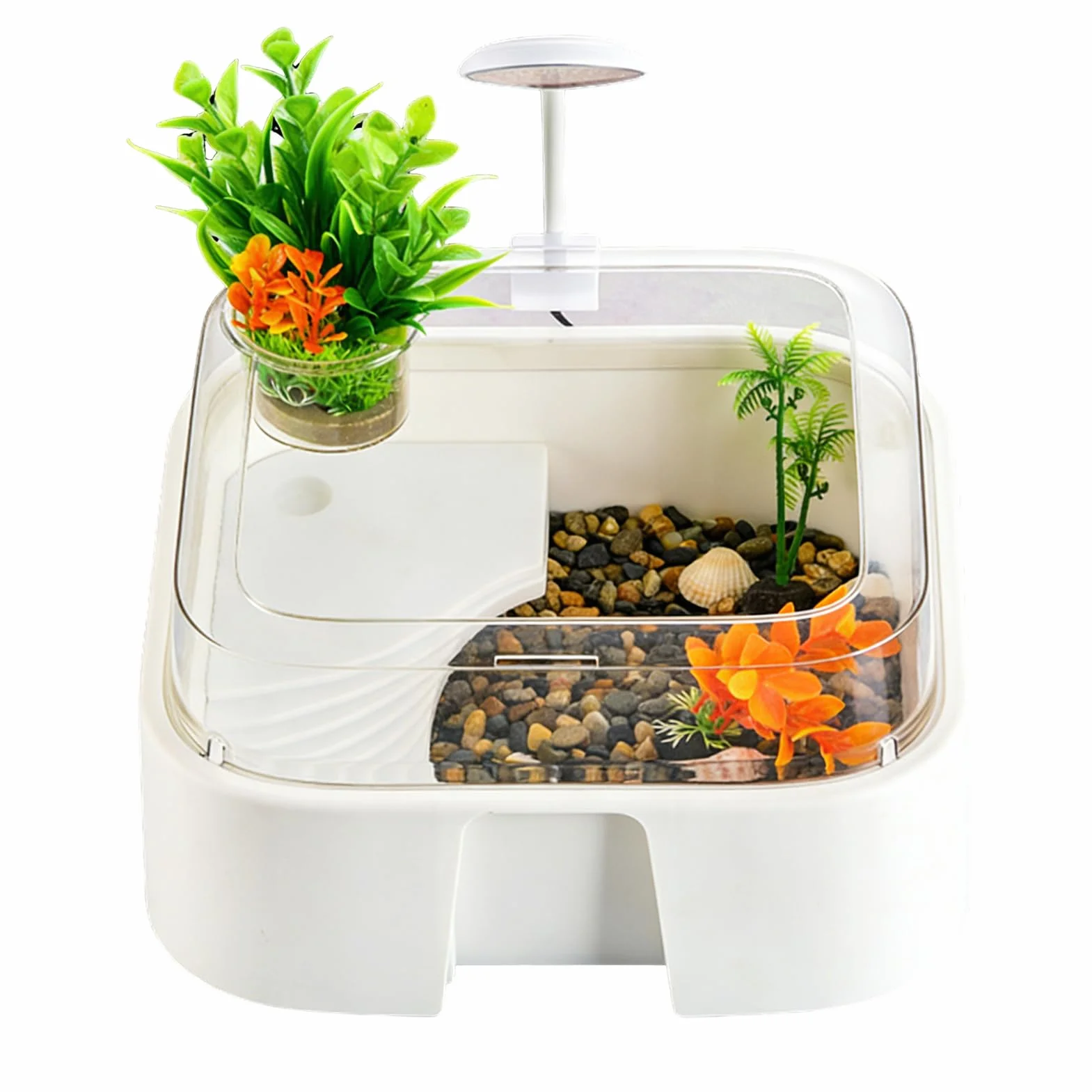 Terrarium Dla Żółwi Terrarium Dla Gadów Z Dekoracjami | Akwarium Agamy Brodatej Z Oświetleniem dla Krabów Palmaowych Żółwi Agam Brodatych Węży i Pająków do Domu i Biura