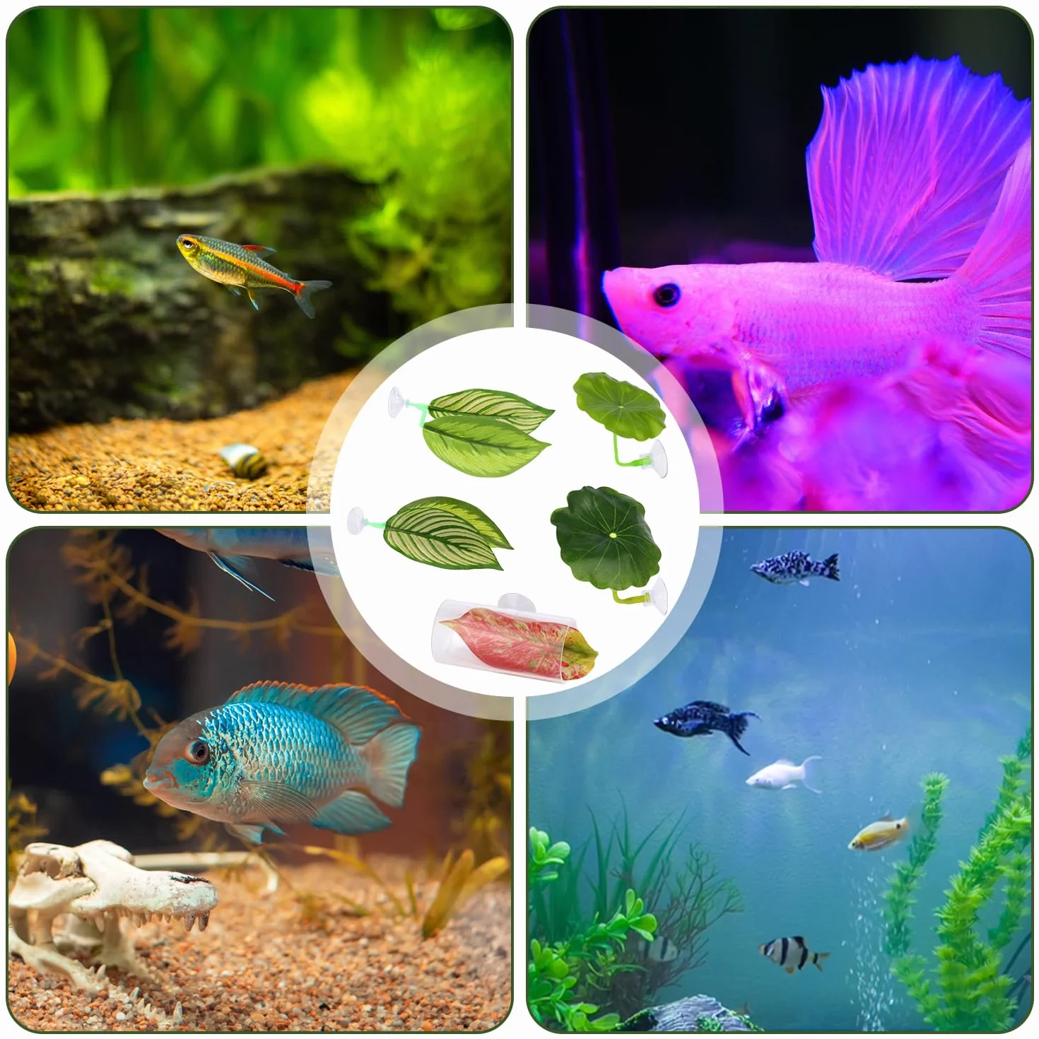 BOXOB 5szt Zestaw Hamaków Betta, Plastikowy Regulowany Hamak Betta Leaf z Przyssawką i Przezroczystym Tunelem Rurowym Zabawki dla Ryb Beta Kryjówka Akwarium Dekoracje i Akcesoria do Akwarium Beta