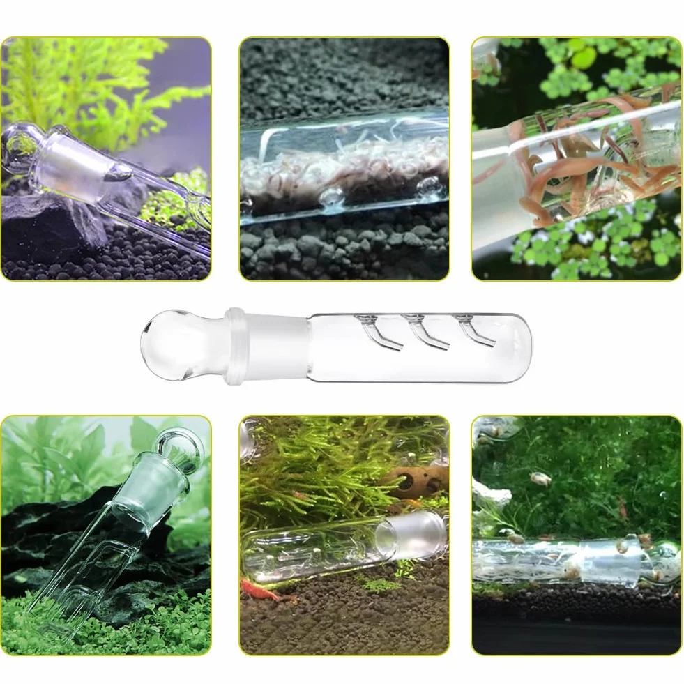 Wydajna pułapka planaria, 2 sztuki, 3 otwory, przezroczyste szkło, pułapka Planaria do akwarium, przezroczyste szkło łapacz pułapki (do wielokrotnego użytku)