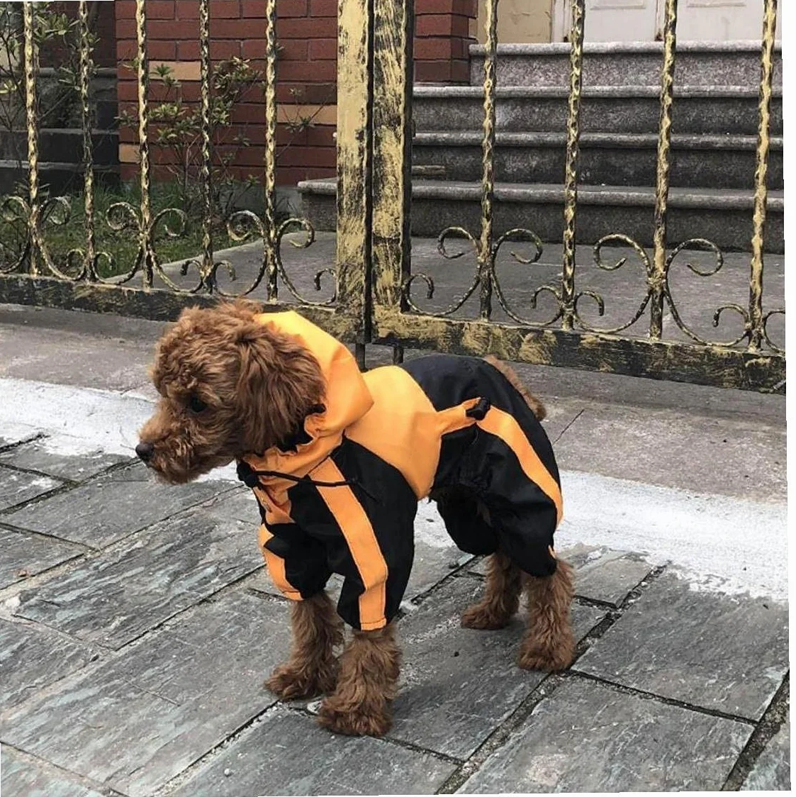Płaszcz przeciwdeszczowy dla psa ubrania dla zwierząt kombinezon wodoodporna odzież Welsh Corgi płaszcz przeciwdeszczowy dla psa z kapturem przeciwdeszczowy strój dla zwierząt domowych
