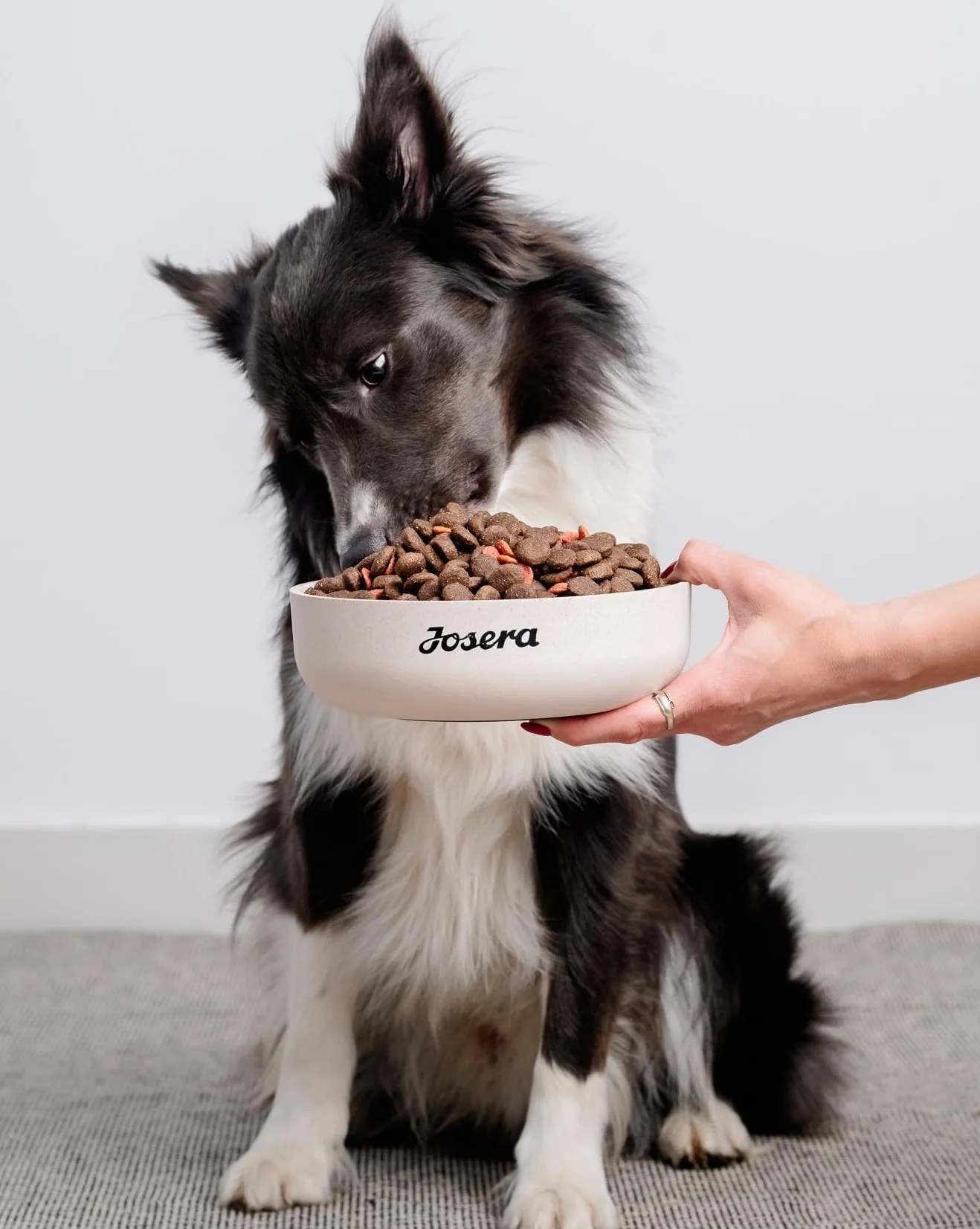 JosiDog Mini (900 g) | karma dla psów dla małych ras | sucha karma dla dorosłych psów | Powered by Josera | 1 opakowanie