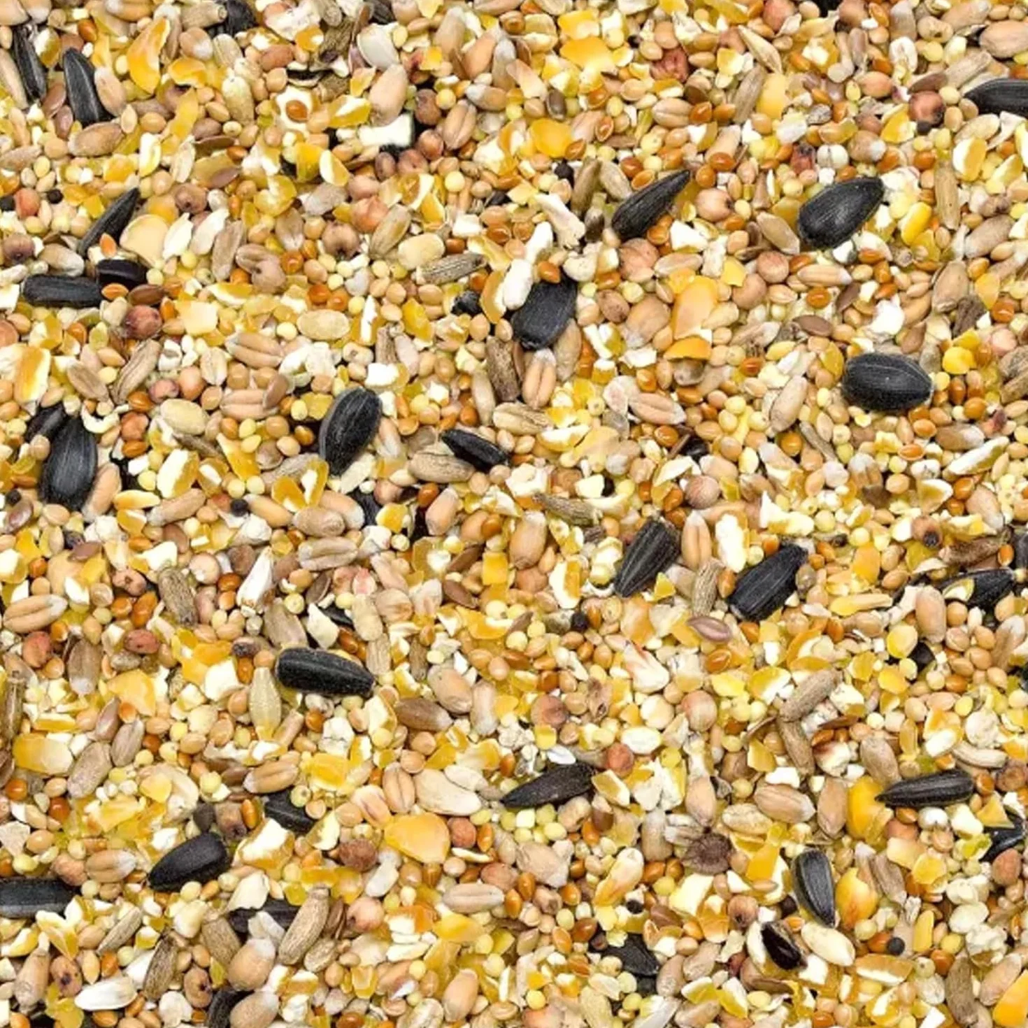 GiDeli Zimowa karma dla dzikiego ptactwa 5 kg w wiadrze, całoroczna karma dla dzikiego ptactwa, karma dla sikorek w ogrodzie i na balkon z nasionami lnu bogatymi w kwasy omega