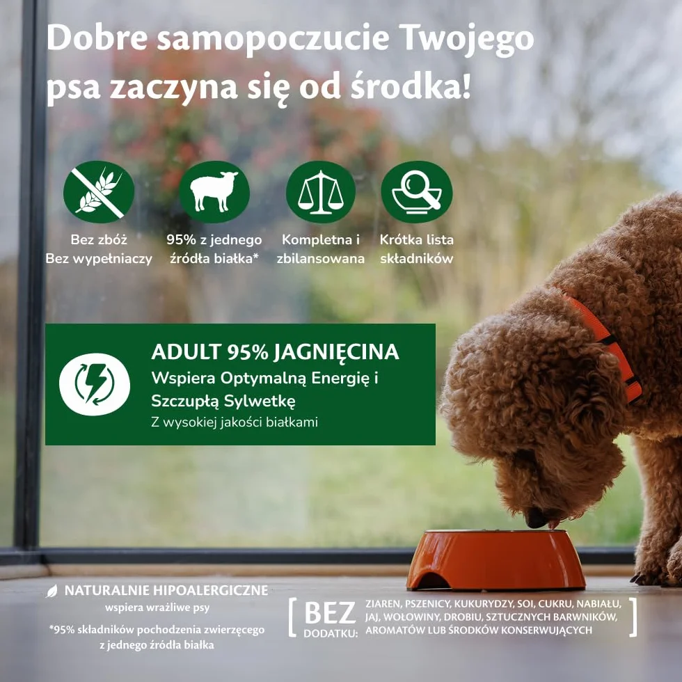 Wellness CORE 95% Jagnięcina i Dynia, 6 x 400 g, mokra karma dla psów wszystkich ras, pasztet typu Chunky, bezzbożowa, wysoka zawartość mięsa, bogata w białko, ograniczona liczba składników