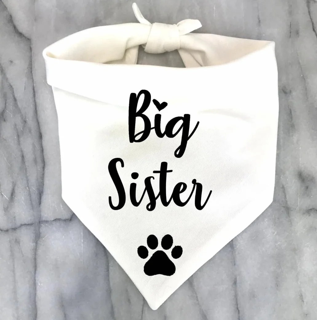 Big Brother Big Sister Bandana dla psa, ogłoszenie ciążowe zdjęcia nowego szczeniaka Gotcha Day ujawnienie płci (styl 3)