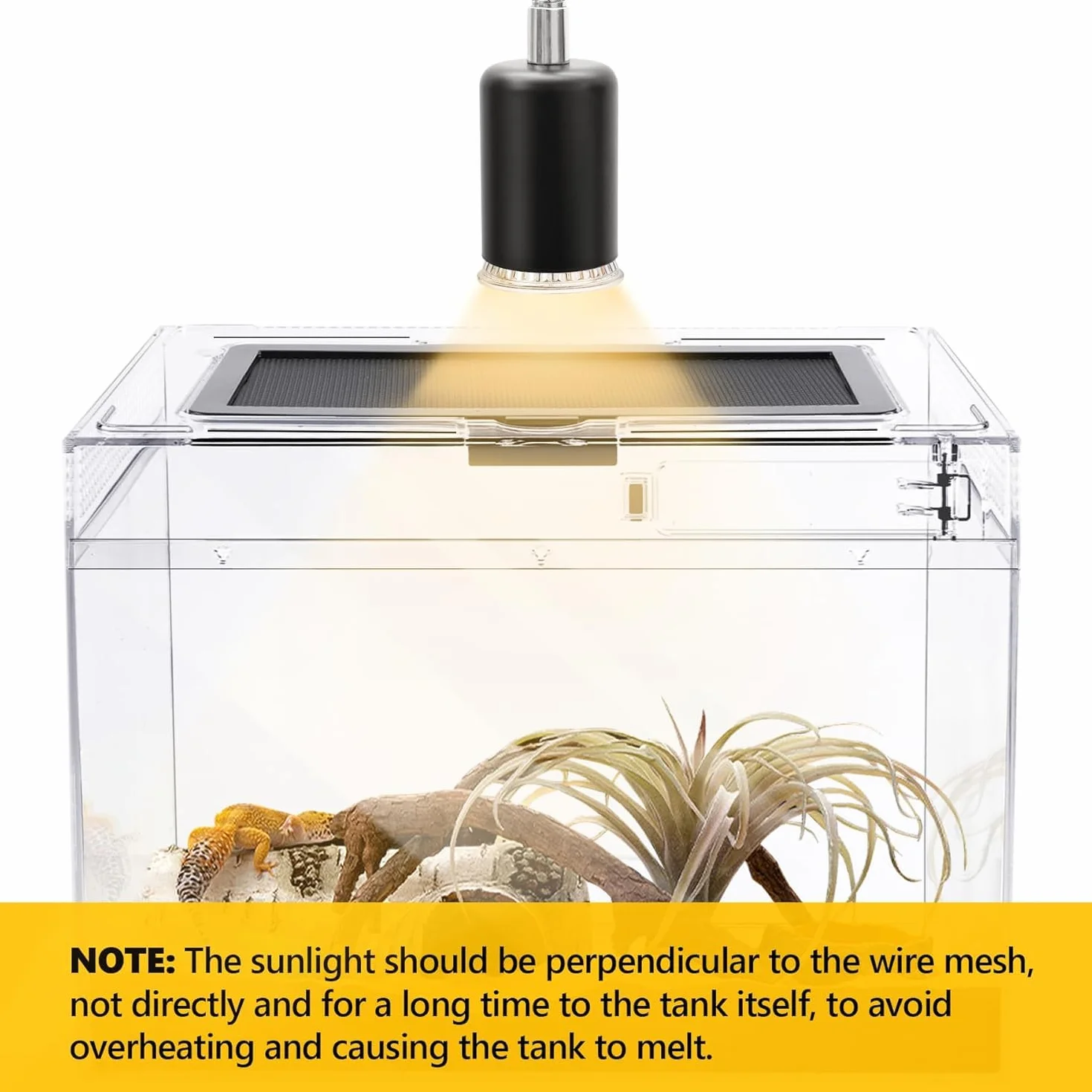 360° Terrarium PC dla gadów, 30*18*22cm Przezroczysta skrzynka karmiąca dla ślimaków, owadów, żółwi wodnych, ptasich pająków, skakunek, gekona lampurskiego, smoka brodacza, żaby (12*7*9 cali)