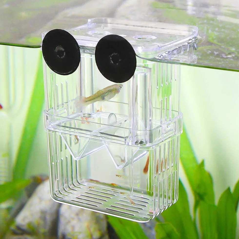 SENZEAL Plastikowe pudełko do izolowania ryb Wielofunkcyjne zbiorniki hodowlane Inkubator do inkubatora z 3-częściową pipetą Pasteura (105x75x135mm)