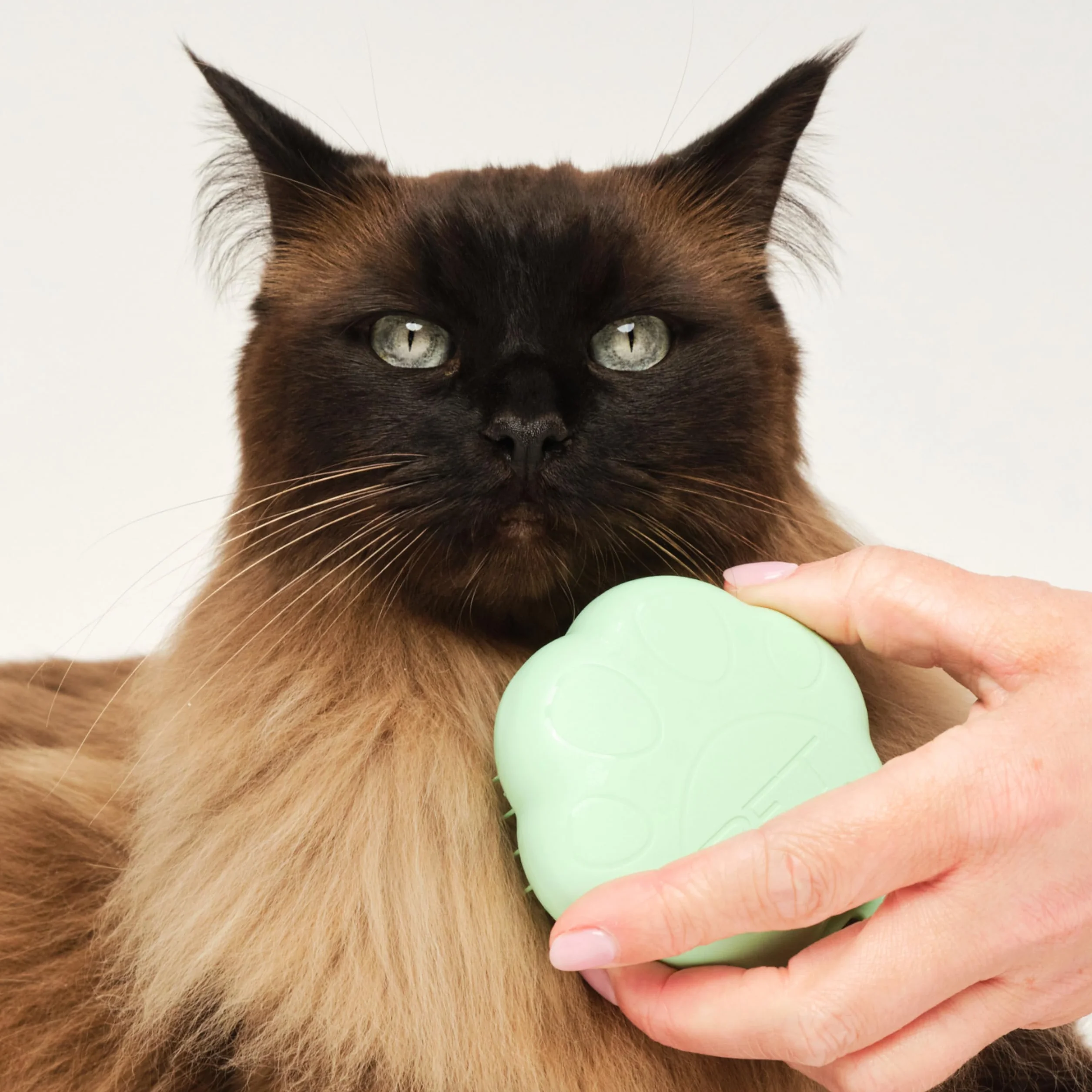 Tangle Teezer Pet Teezer - Dla kociąt i kotów o sierści krótkiej i średniej długości - Dwuwarstwowa szczotka do czesania dla kotów dodaje gładkości i połysku - Zielona