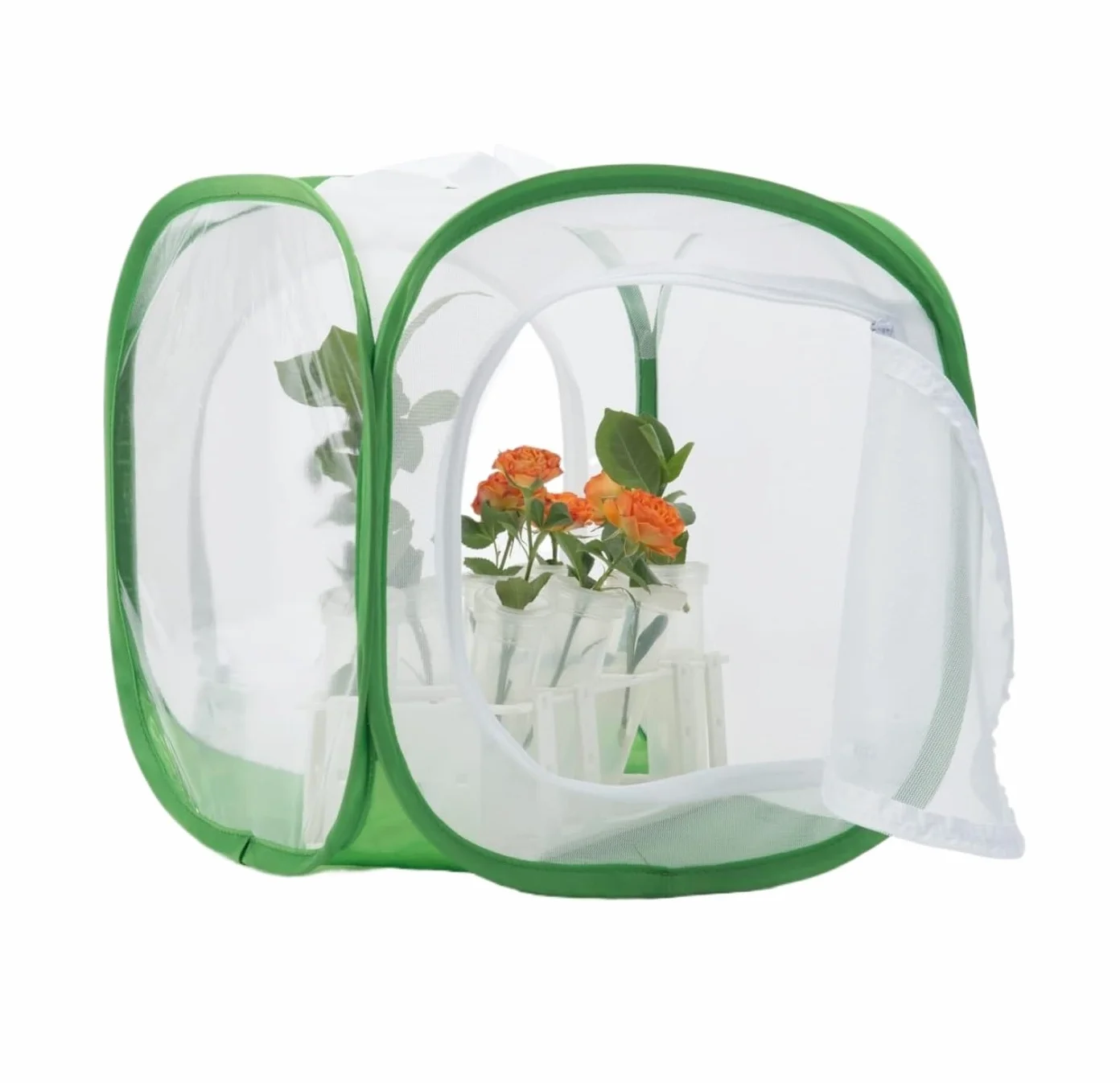 Terrarium Jaszczurek Klatka Z Siatki Dla Owadów Dwoma Drzwiami, Składana Pająków Siedlisko(Grün,60x60x90cm)