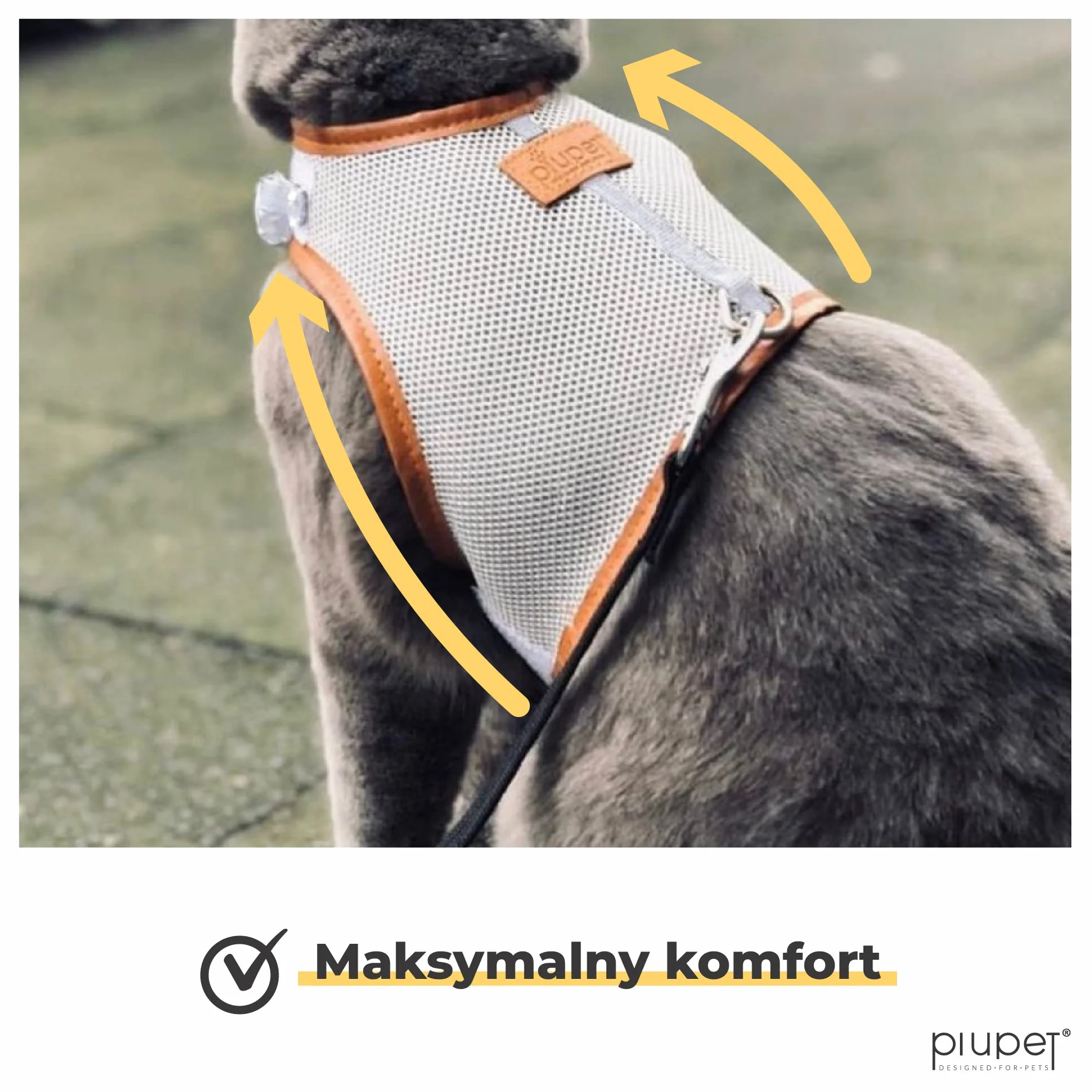 PiuPet® Szelki dla Kota ze Smyczą 1,2m, Odporna na Ucieczkę i Wytrzymała Obroża, Smycz dla Szczeniaków, Rozmiar M