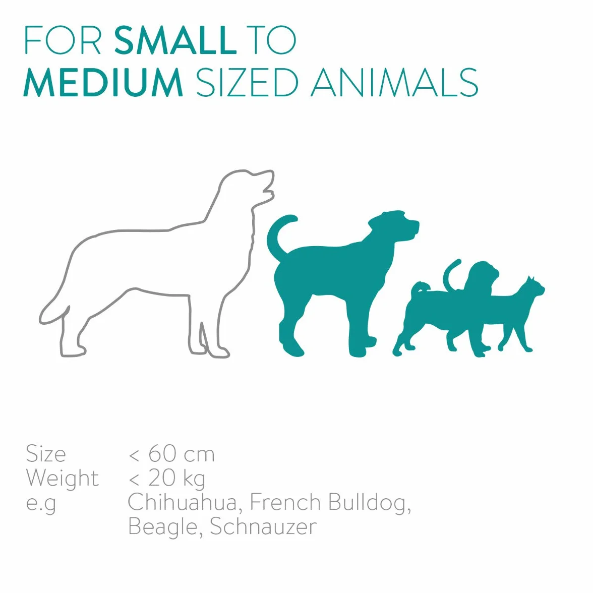Navaris Automatischer Futterautomat Futterspender mit Timer - 6L Futternapf Automat mit Timer und akustischer Benachrichtigung - für Hund und Katze