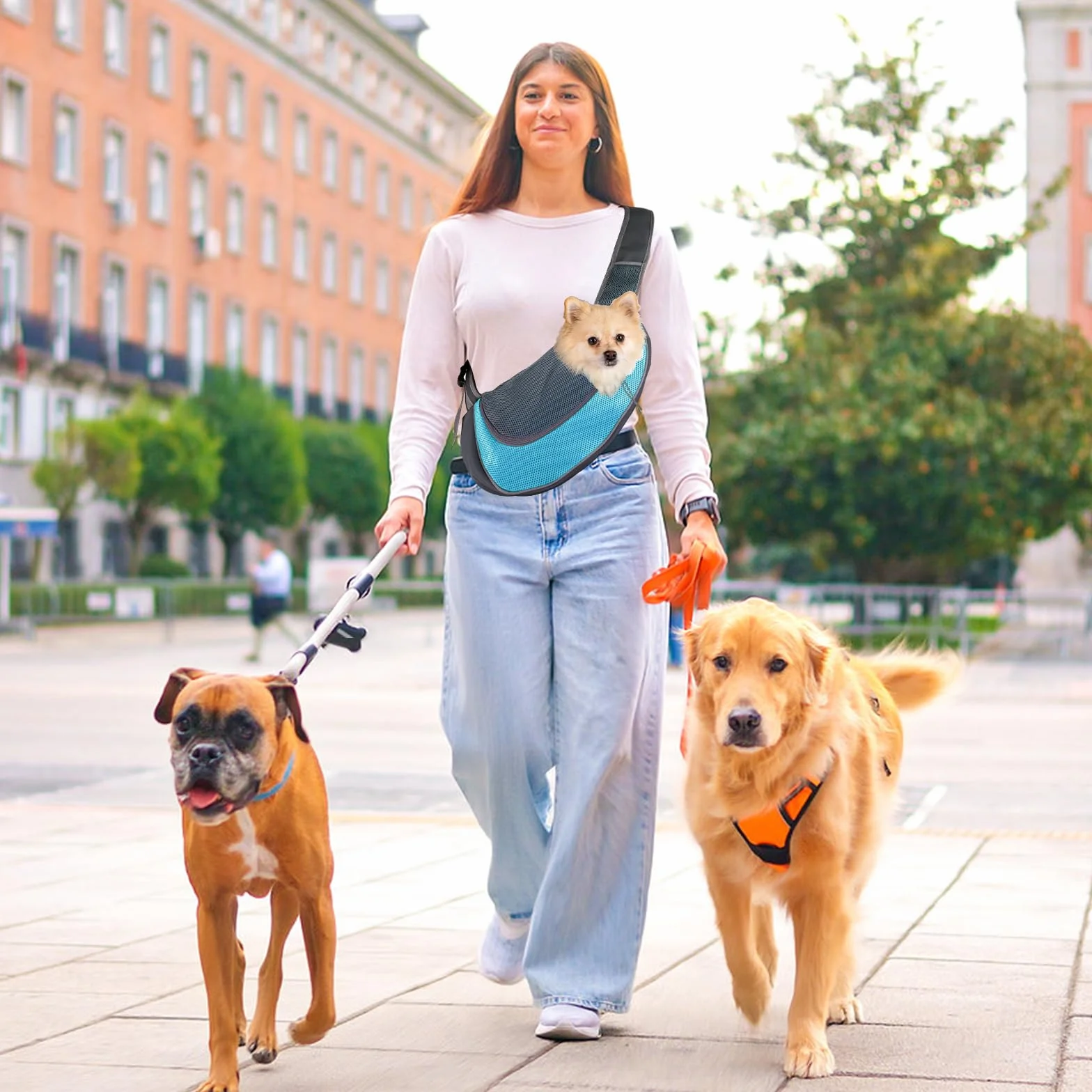 Torba podróżna dla małych psów, torba do noszenia psa, oddychająca, regulowana, torba transportowa dla małych psów i kotów, do 6 kg, idealna do użytku na zewnątrz (błękitna)