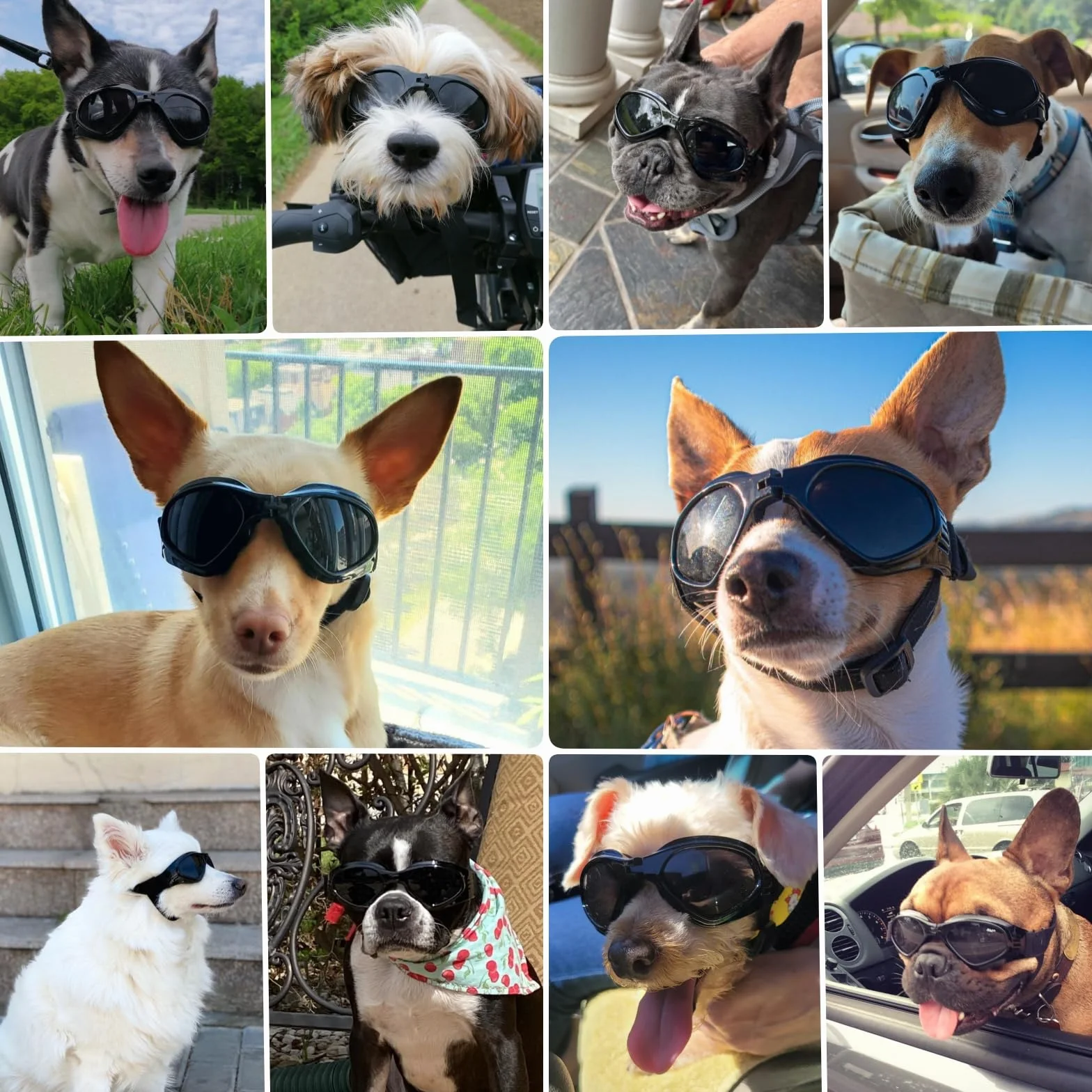 Pet Leso® gogle dla psów stylowe okulary przeciwsłoneczne dla szczeniąt ochrona przed wiatrem psie - czarne