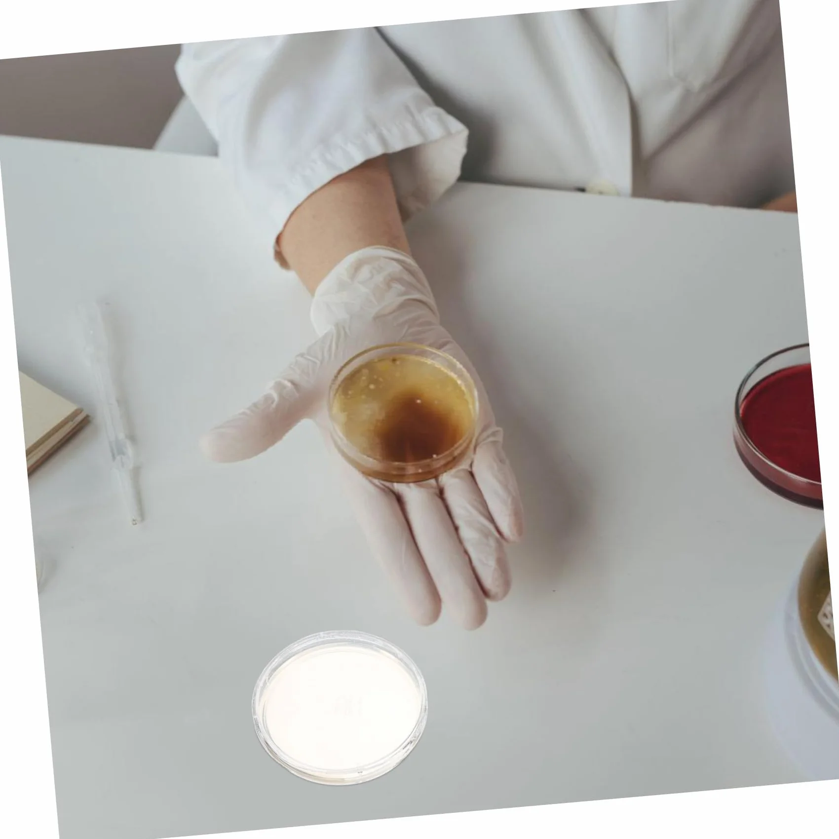Zestaw Płytek Agarowych Laboratoryjnych 10 Szt Płytek Petriego Agar Płytki Agarowe Odżywcze Do Badań Biologicznych