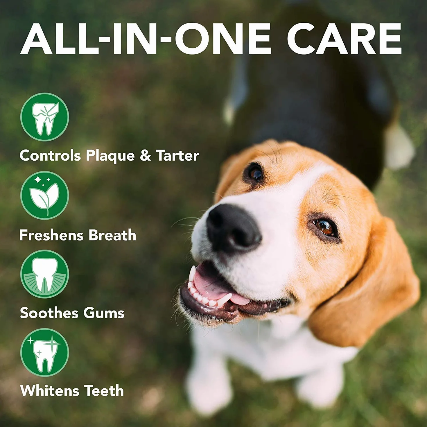 Vet's Best Naturalny Spray Dentystyczny & Floss ball - Czyste zęby i świeży oddech dla psów