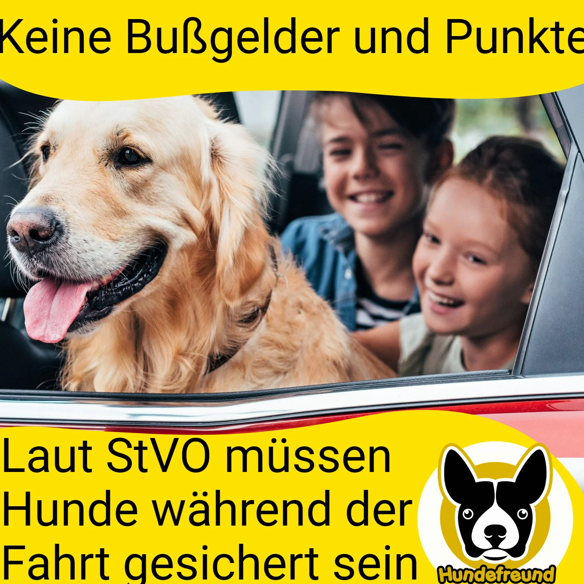 Hundefreund Pas Bezpieczenstwa dla Psa – Regulowany Pas Samochodowy z Amortyzatorem dla Srednich i Duzych Psów – Dodatkowo Wzmocniony Pas do Wszystkich Typów Samochodów (Czarny)