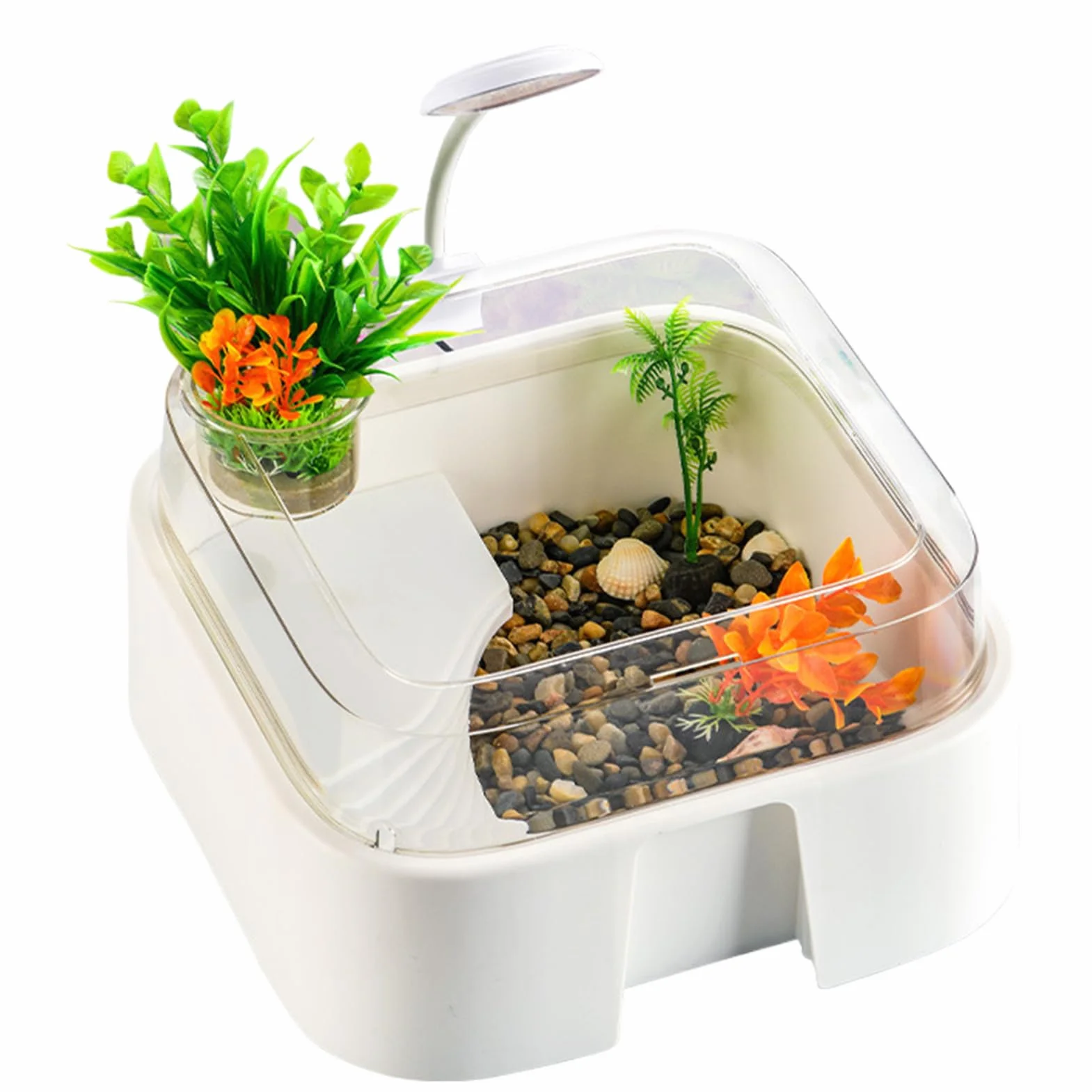 Mały Zbiornik Żółwi Terrarium Dla Gadów Z Akcesoriami | Akwarium Agamy Brodatej Z Oświetleniem dla Krabów Palmaowych Żółwi Agam Brodatych Węży i Pająków do Domu i Biura