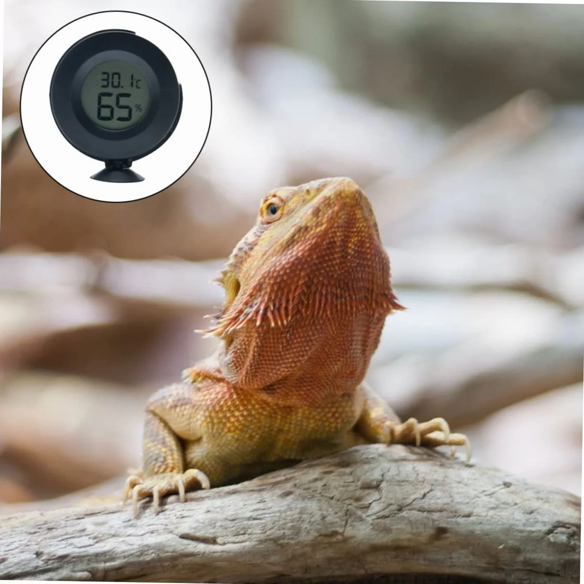 1kawałek Termometr Cyfrowy i Higrometr Do Terrarium Dla Gadów Czujnik Wilgotności i Temperatury z Przyssawką Idealny Do Użycia Terrariach i Inkubatorach