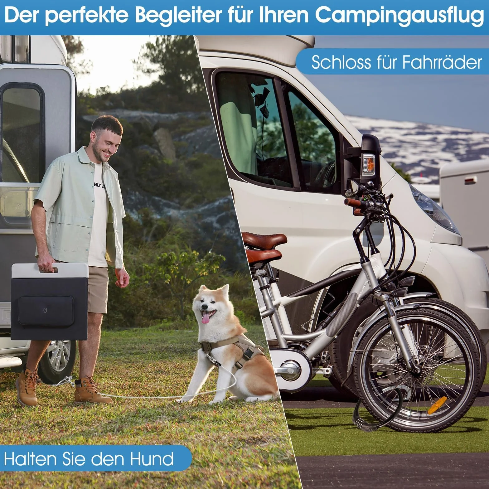Dogholder kotwa podłogowa dla psów, zdejmowana, ze stali nierdzewnej 304, płytka najazdowa na smycz, unikalna konstrukcja, przejezdny punkt kotwiczenia