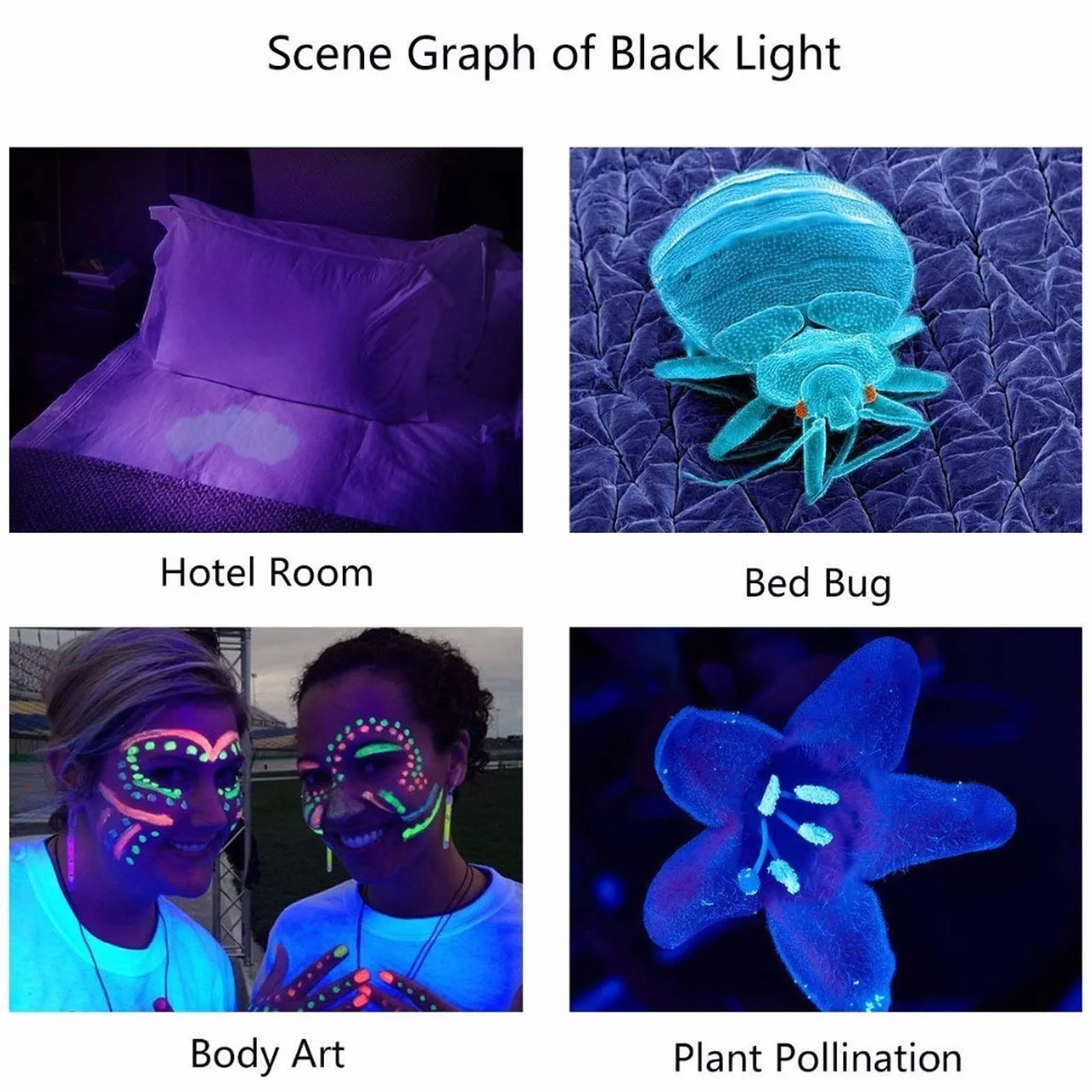 Czarno-świetlna Latarka UV 365nm Przenośna Latarka LED Mini Blacklight do Wykrywania Moczu dla Zwierząt Domowych Suche Plamy Pieniądze