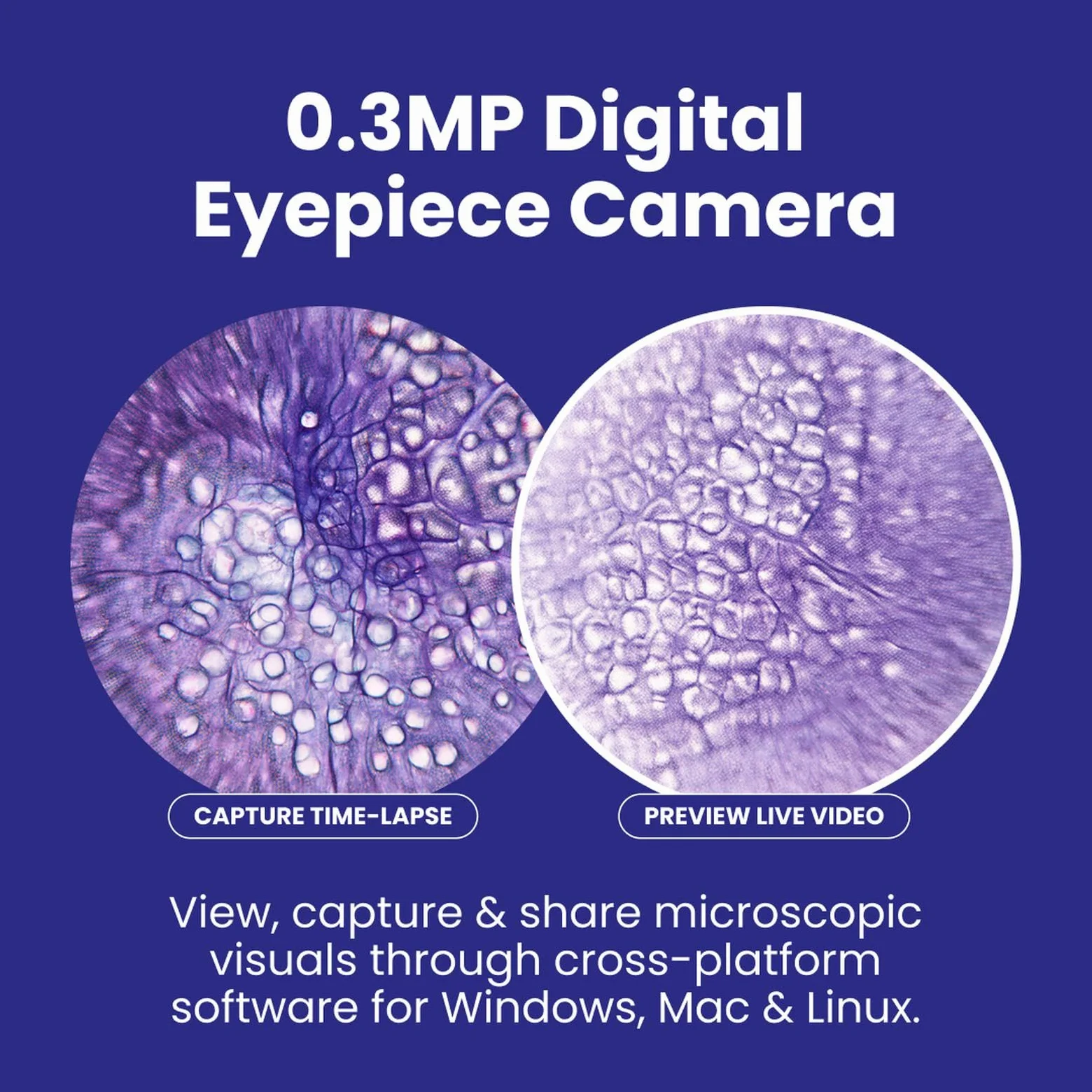 AmScope - 40X-2500X LED lornetka mikroskop złożony z mechanicznym etapem 3D + aparat cyfrowy USB - B120C-E