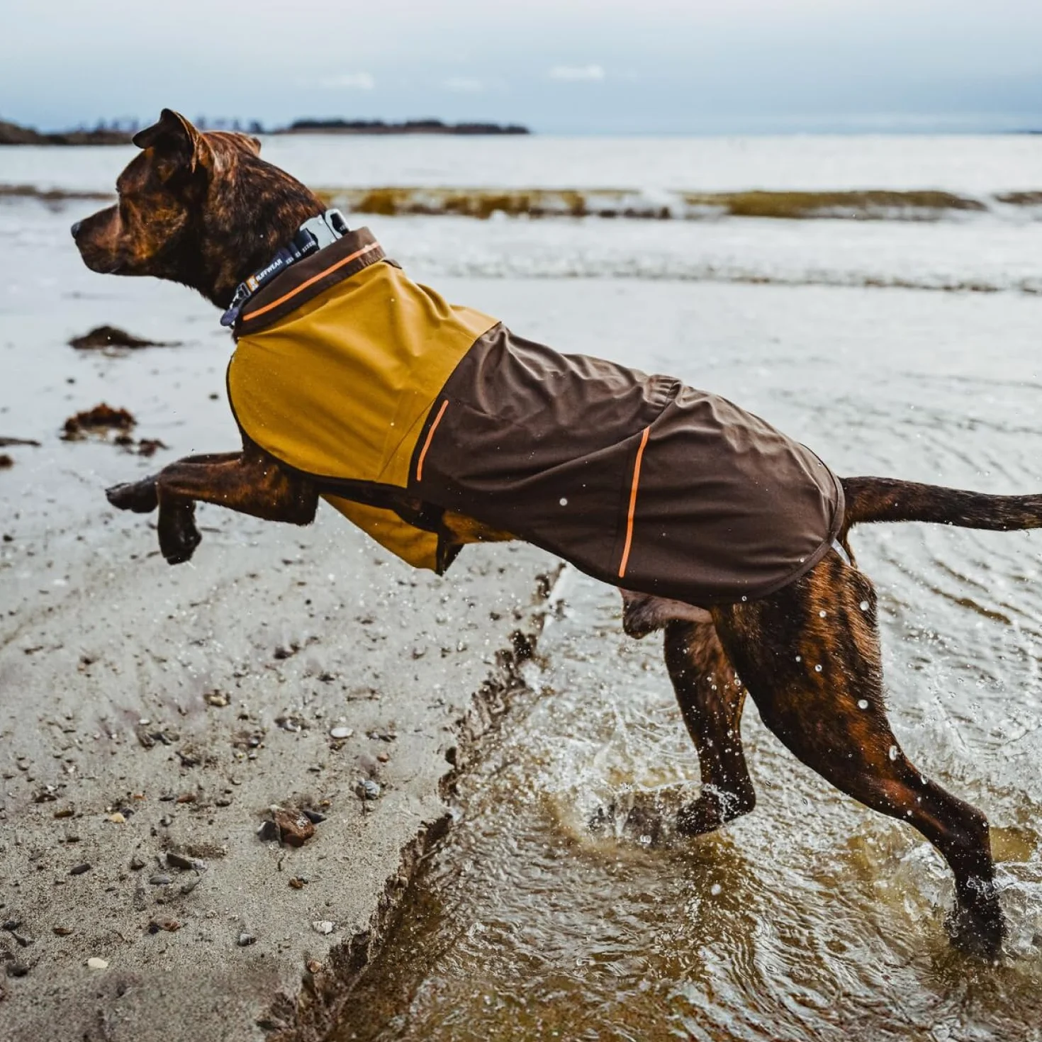 RUFFWEAR Kurtka przeciwdeszczowa dla psa X-Large, wodoodporna i wiatroodporna, kolor żółty mineralny