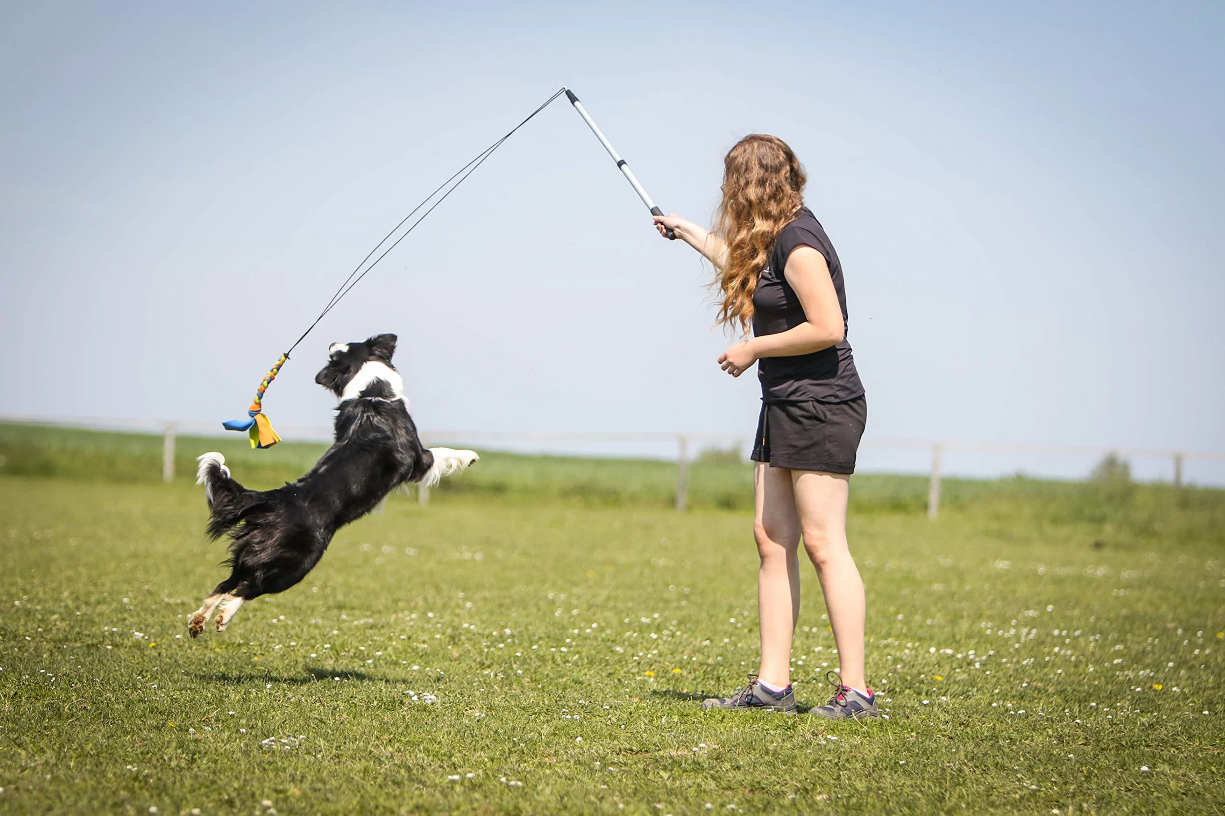 Flirt Pole for Dogs w/ Safe & Strong Non-Bungee Cord, Telescopic Lure Stick for Dogs of Any Size, Dog Toy for Training & Exercise by Yes4Quality