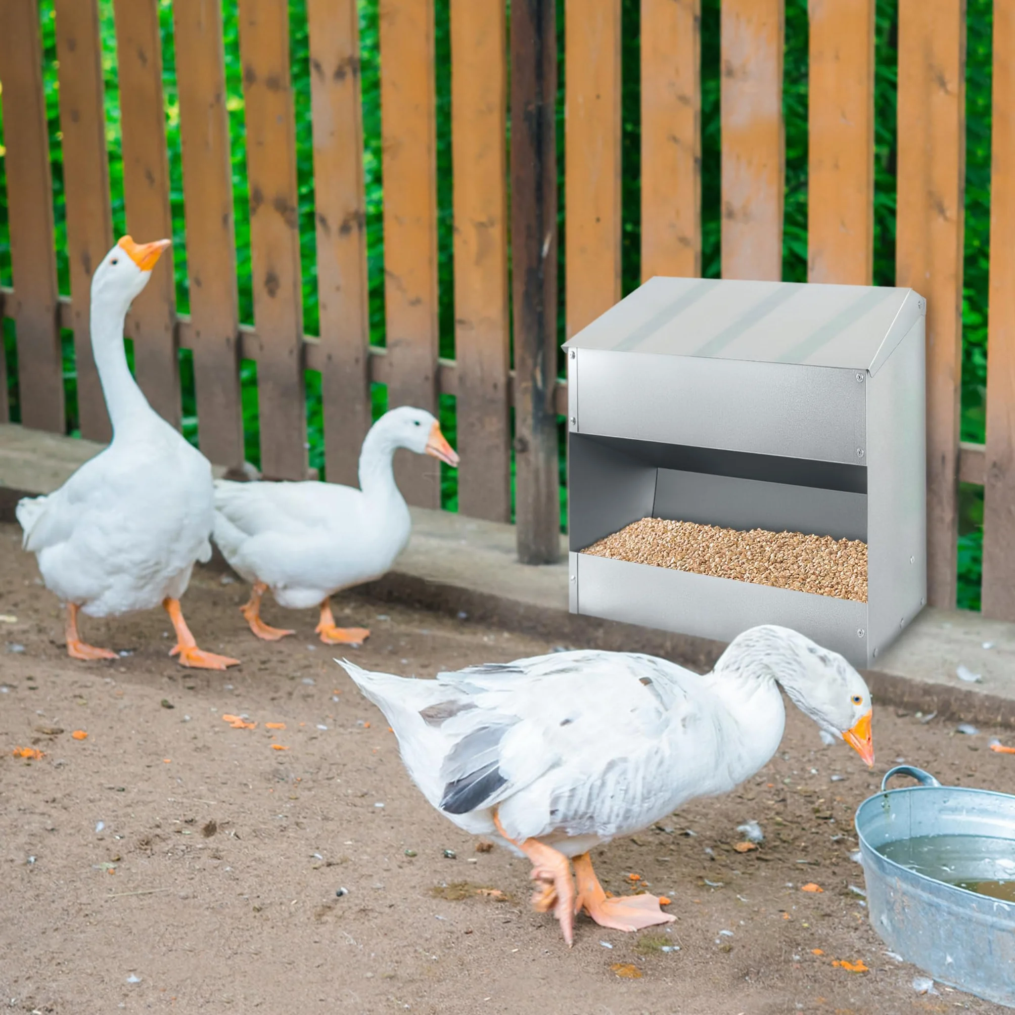 Froadp 15 kg automat do karmy dla kur o dużej pojemności, z ocynkowanej stali, dozownik karmy z pokrywką, automatyczny karmnik dla drobiu, kaczek, gęsi