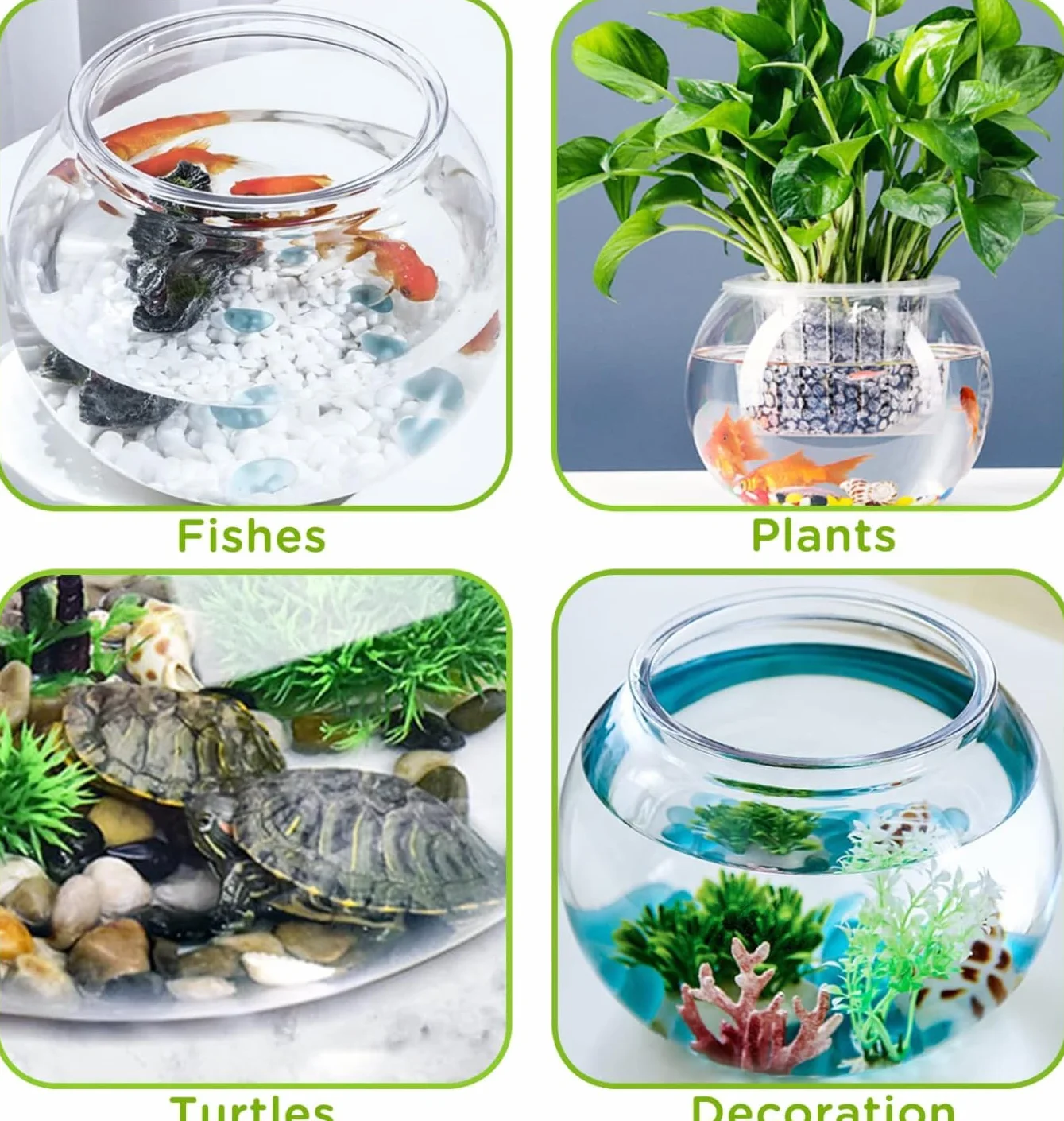 Mini Zbiornik na Ryby, Klasyczna Miska na Ryby w Stylu Bębna, Przezroczysta Plastikowa Okrągła Miska, Akwarium Widok 360°, Centralny Element Akwarium lub Terrarium
