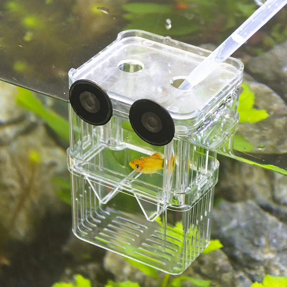 SENZEAL Plastikowe pudełko do izolowania ryb Wielofunkcyjne zbiorniki hodowlane Inkubator do inkubatora z 3-częściową pipetą Pasteura (105x75x135mm)