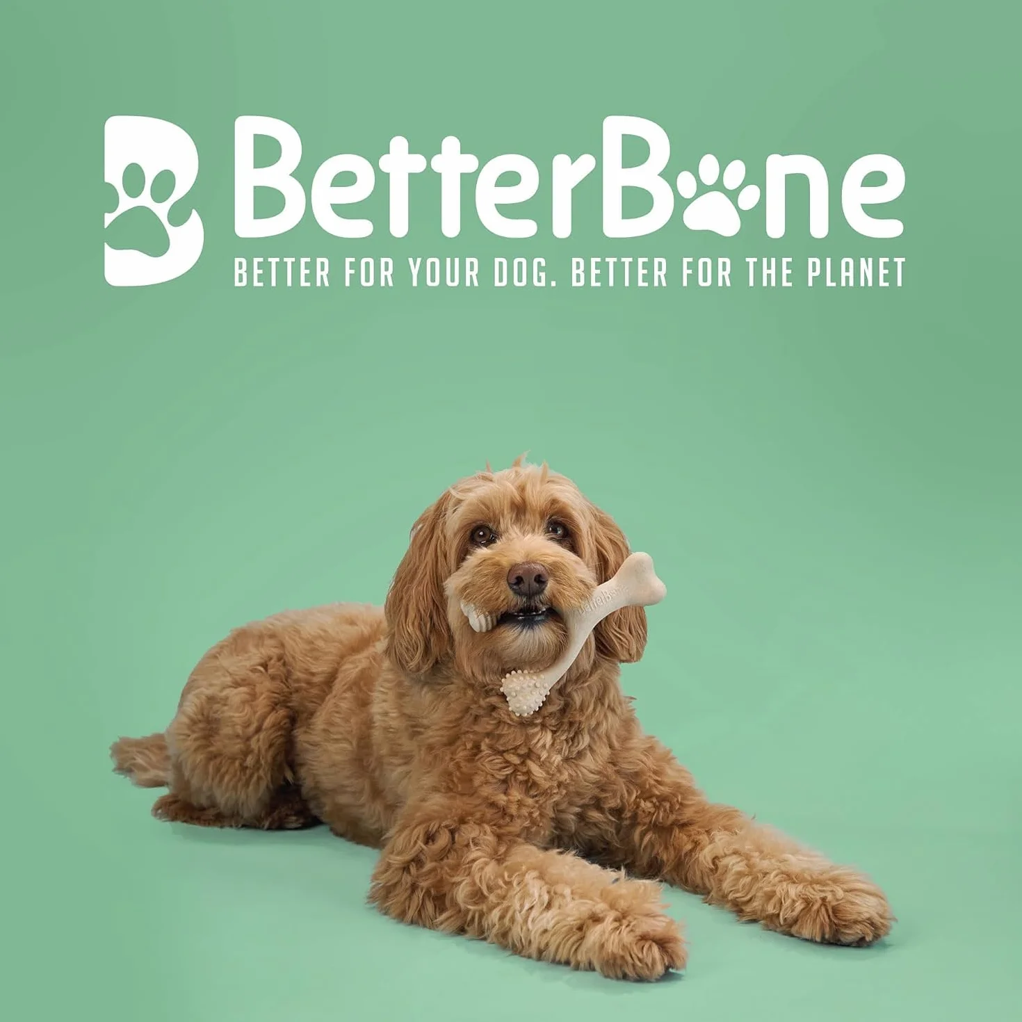 BetterBone - Zabawka dla psa do żucia – Small Medium Classic – wegańska kość do żucia dla psa, bez nylonu i GMO na bazie celulozy, średnio twarda, neutralny smak, nie odpryskuje i hipoalergiczna