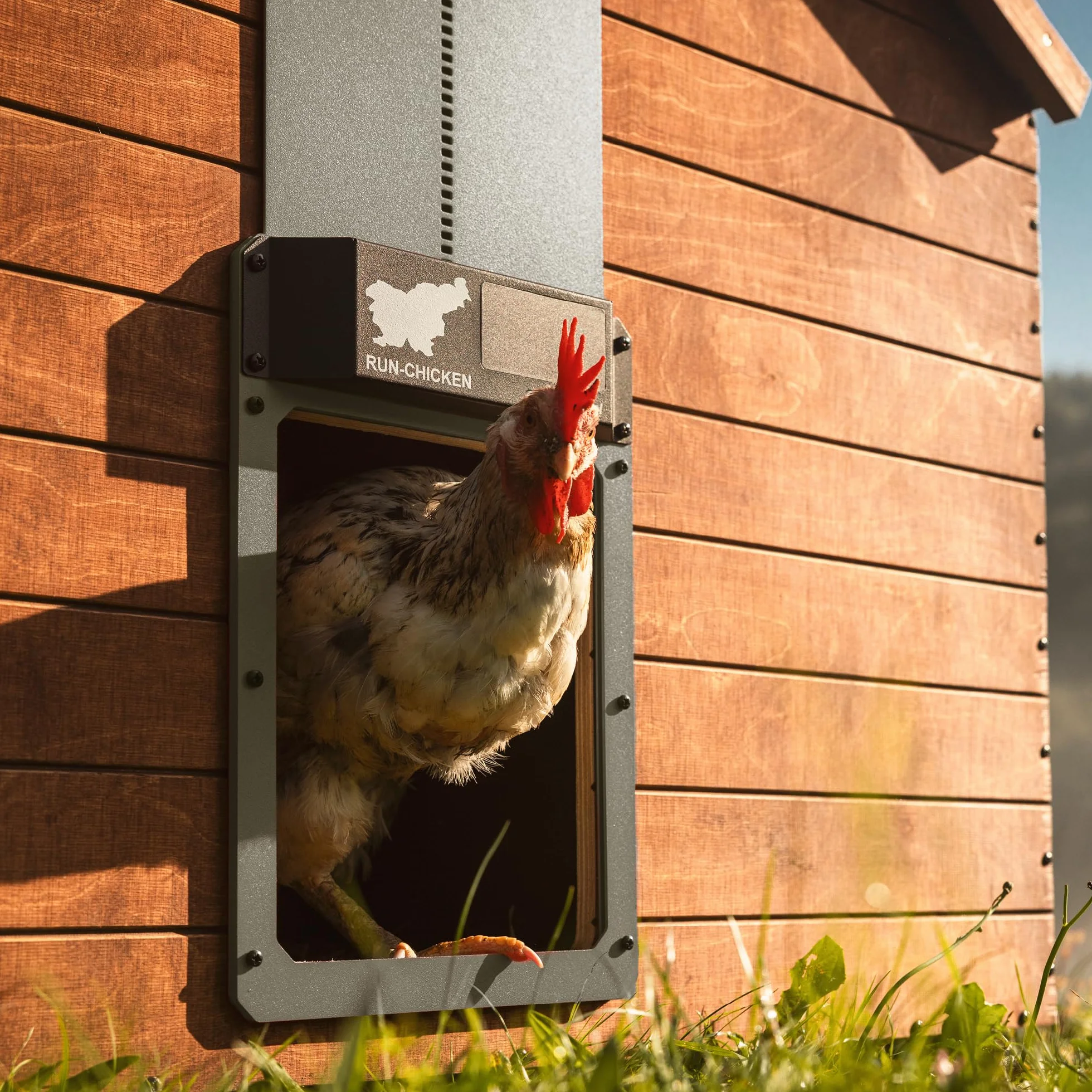 Solarne Automatyczne Drzwi Kurnika Run-Chicken z Timerem i Czujnikiem Światła