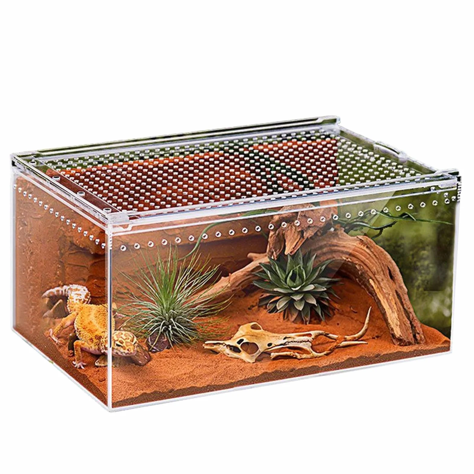 Terrarium Dla Gadów Akrylowe Terrarium Odporne Na Ucieczkę Dla Gadów | Terrarium Dla Modliszek Klatka Do Hodowli Jaszczurek Do Wnętrz Na Biurko W Domu I Biurze Dla Płazów Jaszczurek