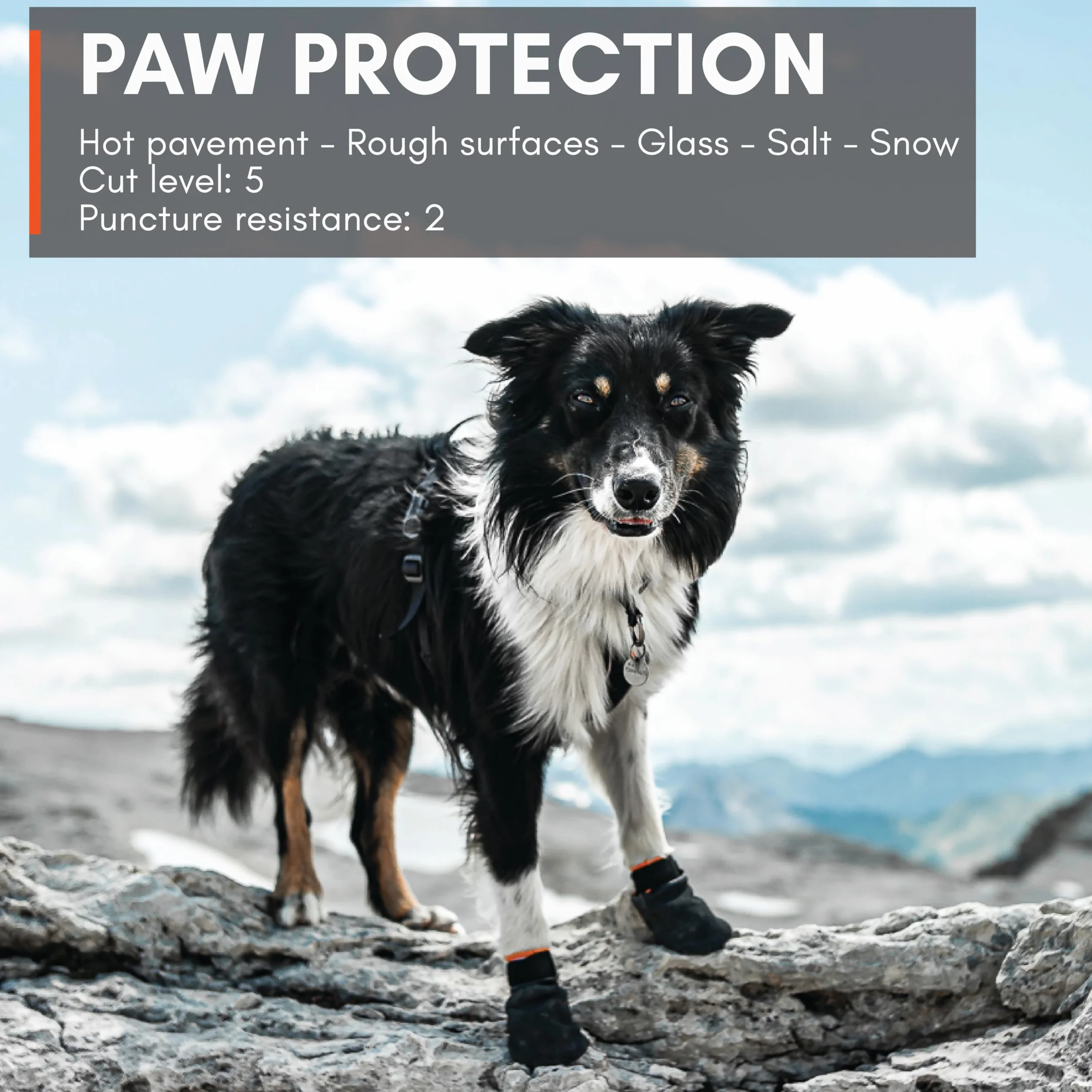 Non-stop dogwear Produkt nadrzędny Protector Bootie (M)
