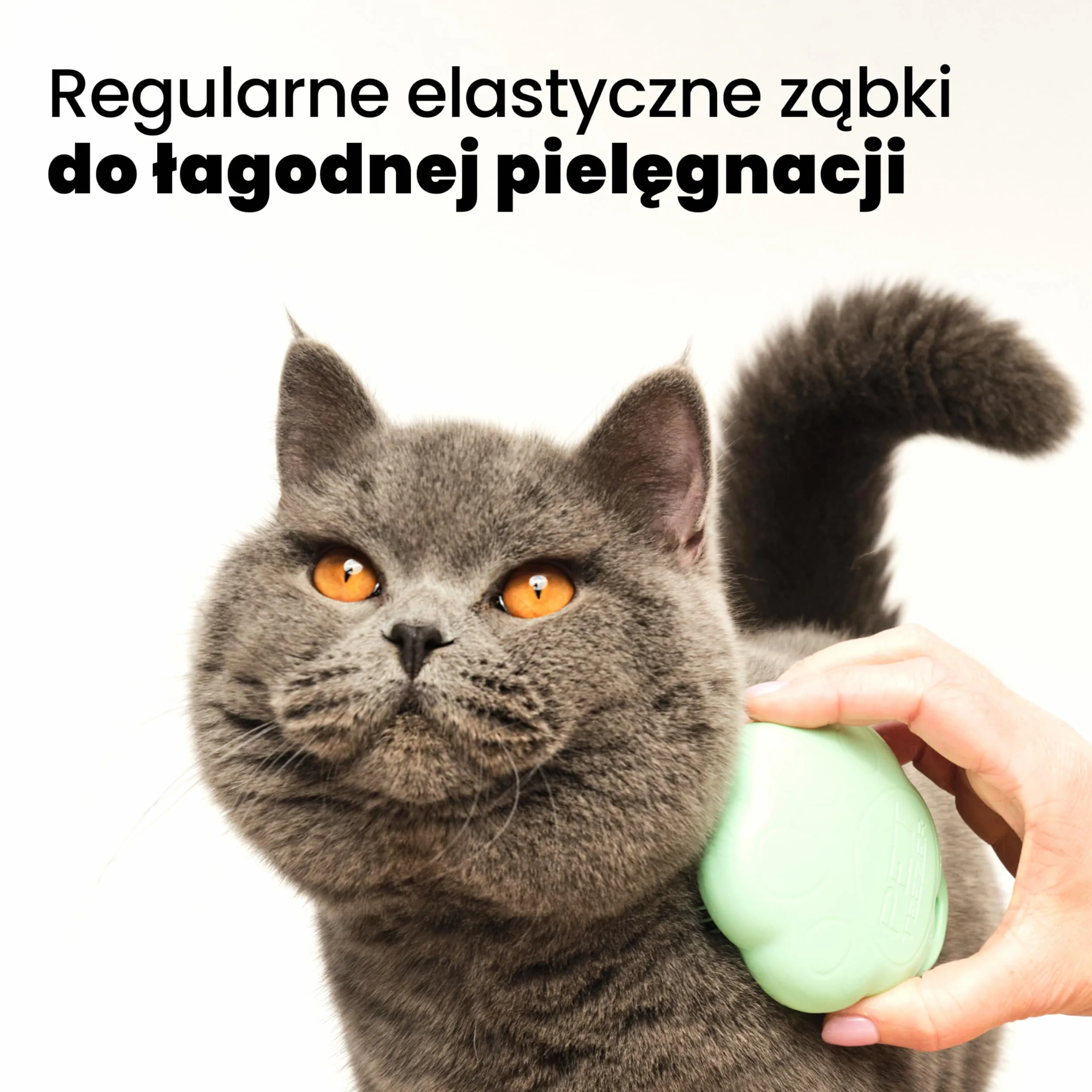 Tangle Teezer Pet Teezer - Dla kociąt i kotów o sierści krótkiej i średniej długości - Dwuwarstwowa szczotka do czesania dla kotów dodaje gładkości i połysku - Zielona