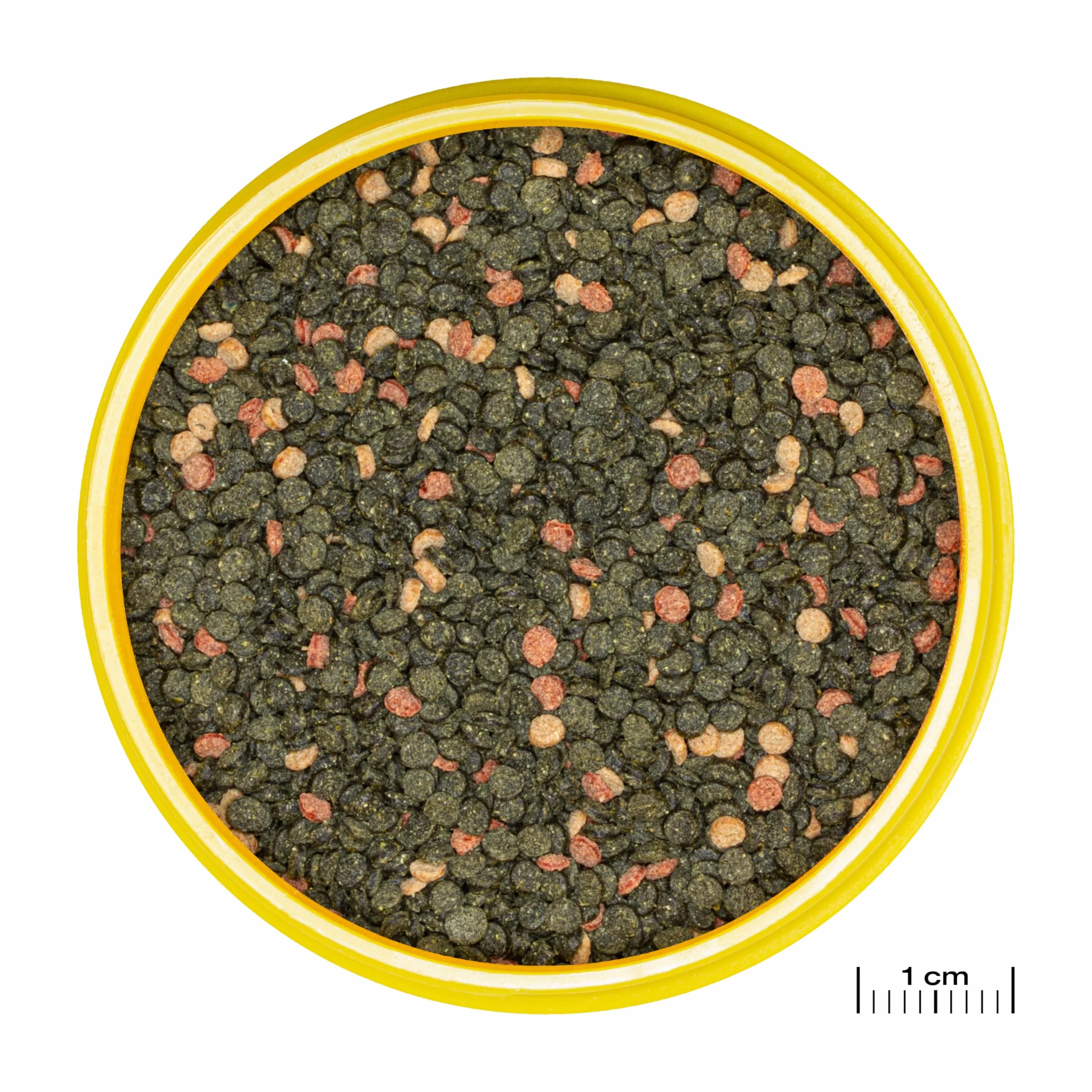 JBL PRONOVO MALAWI GRANO, główny pokarm dla wszystkich pielęgnic 8-20 cm, dozownik na klik, granulat do karmy dla ryb, rozmiar M, 250 ml