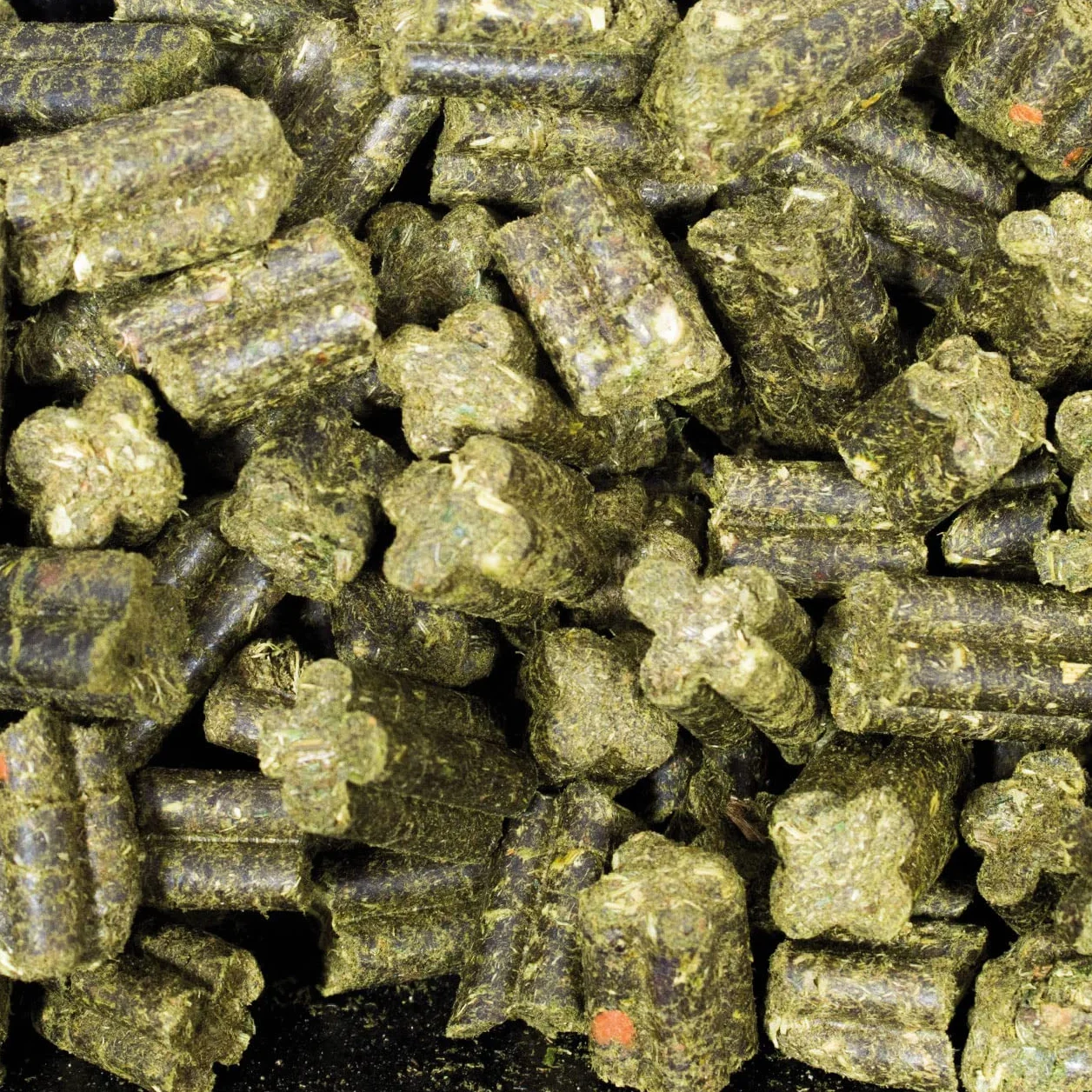 JR Grainless Complete świnka morska 1350 g