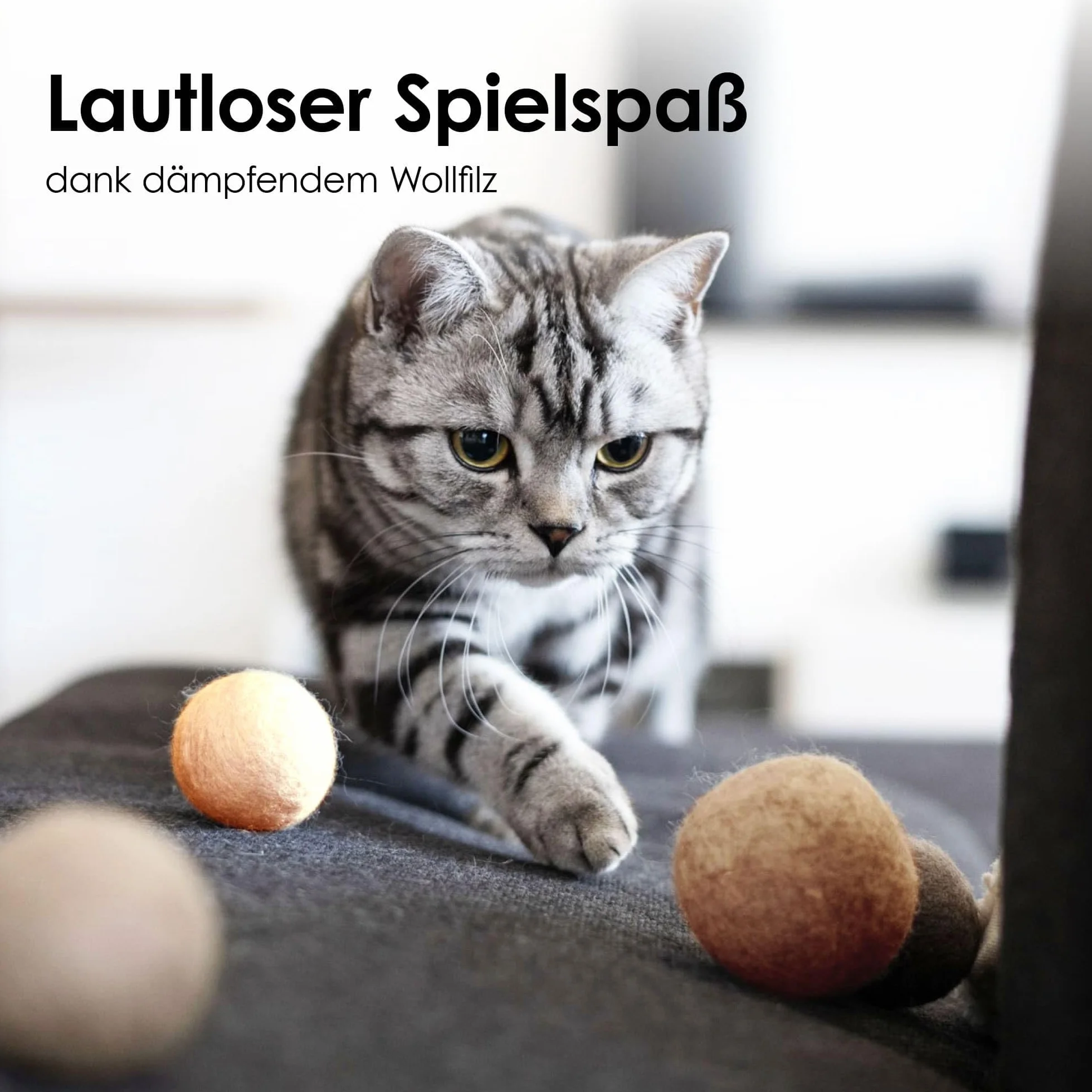 LucyBalu® Filcowe Piłki dla Kotów | Zabawki ze 100% Wełny | Naturalna Zabawka | Fair z Nepalu | 6 Sztuk
