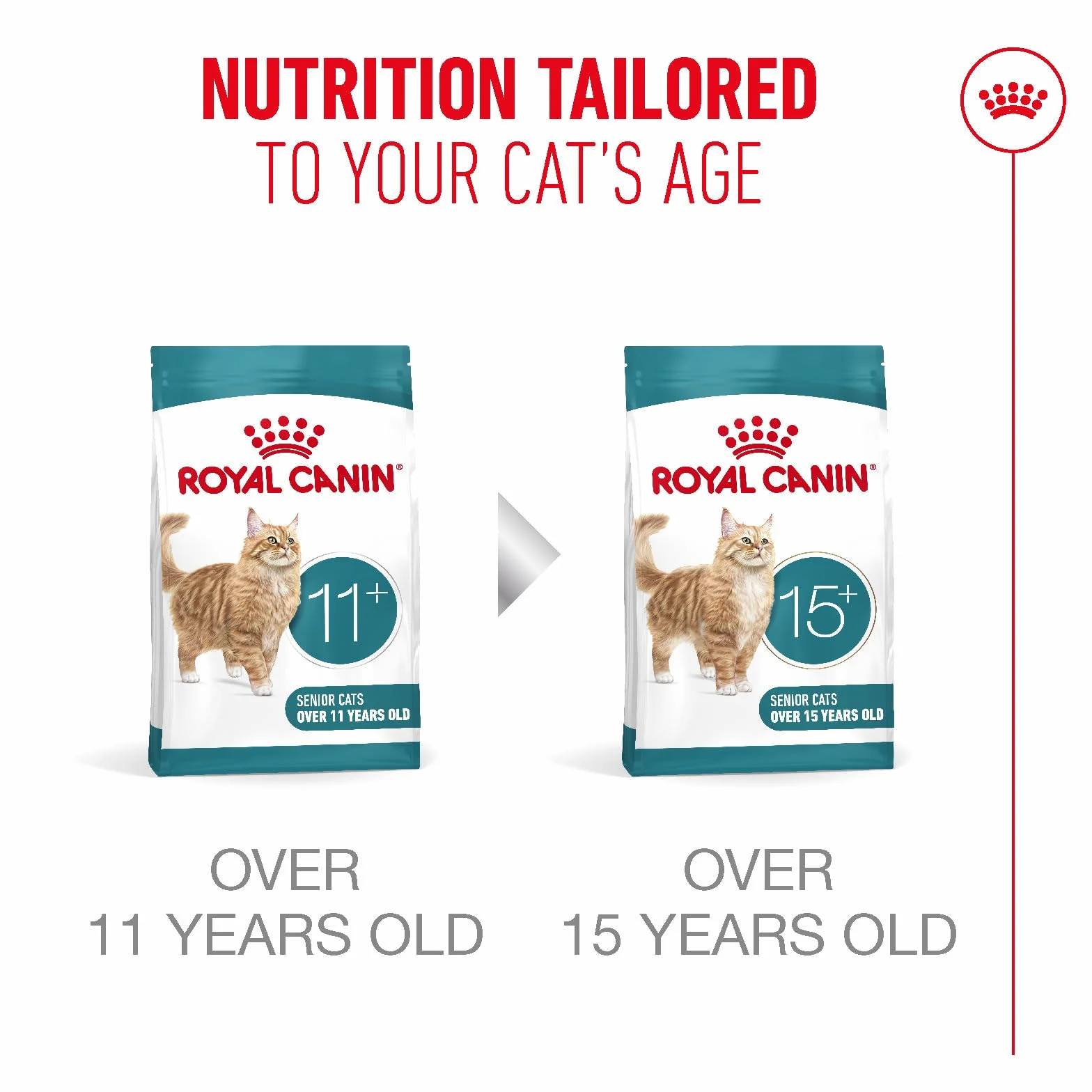 Royal Canin Ageing Sterilised 11+ | 400 g | Sucha karma dla kotów sterylizowana od 11 lat | Formuła z kompleksem HealthyAge7 | Zawiera łatwe do żucia krokiety