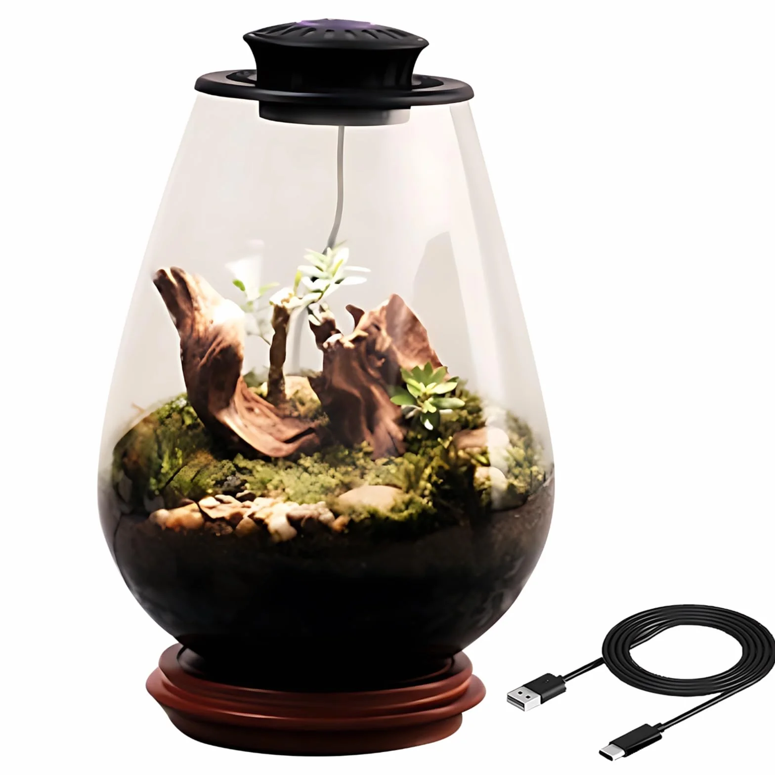 Szklane terrarium do roślin, UFO LED, ekosystem biurkowy z mchem, czarne światło 5 V/2 A, wystrój biura i domu, butelka kroplowa i kabel typu C w zestawie