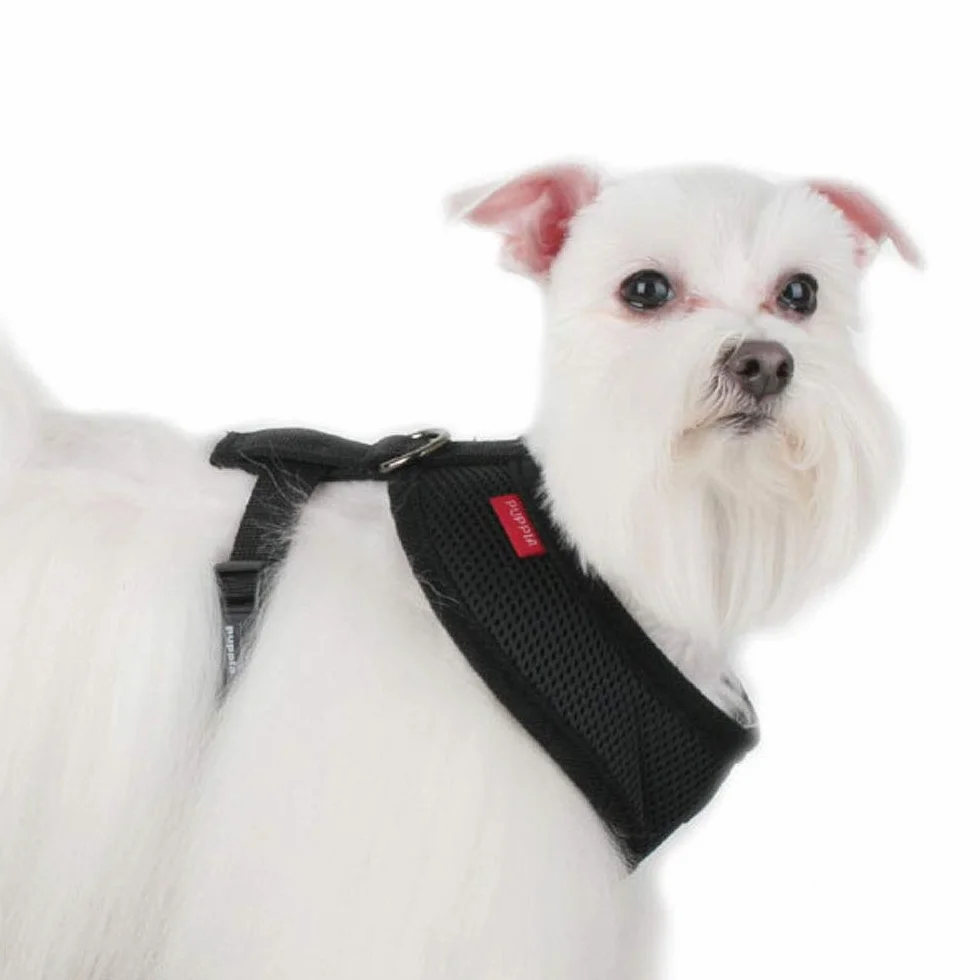 HARNESS SOFT A BLACK M