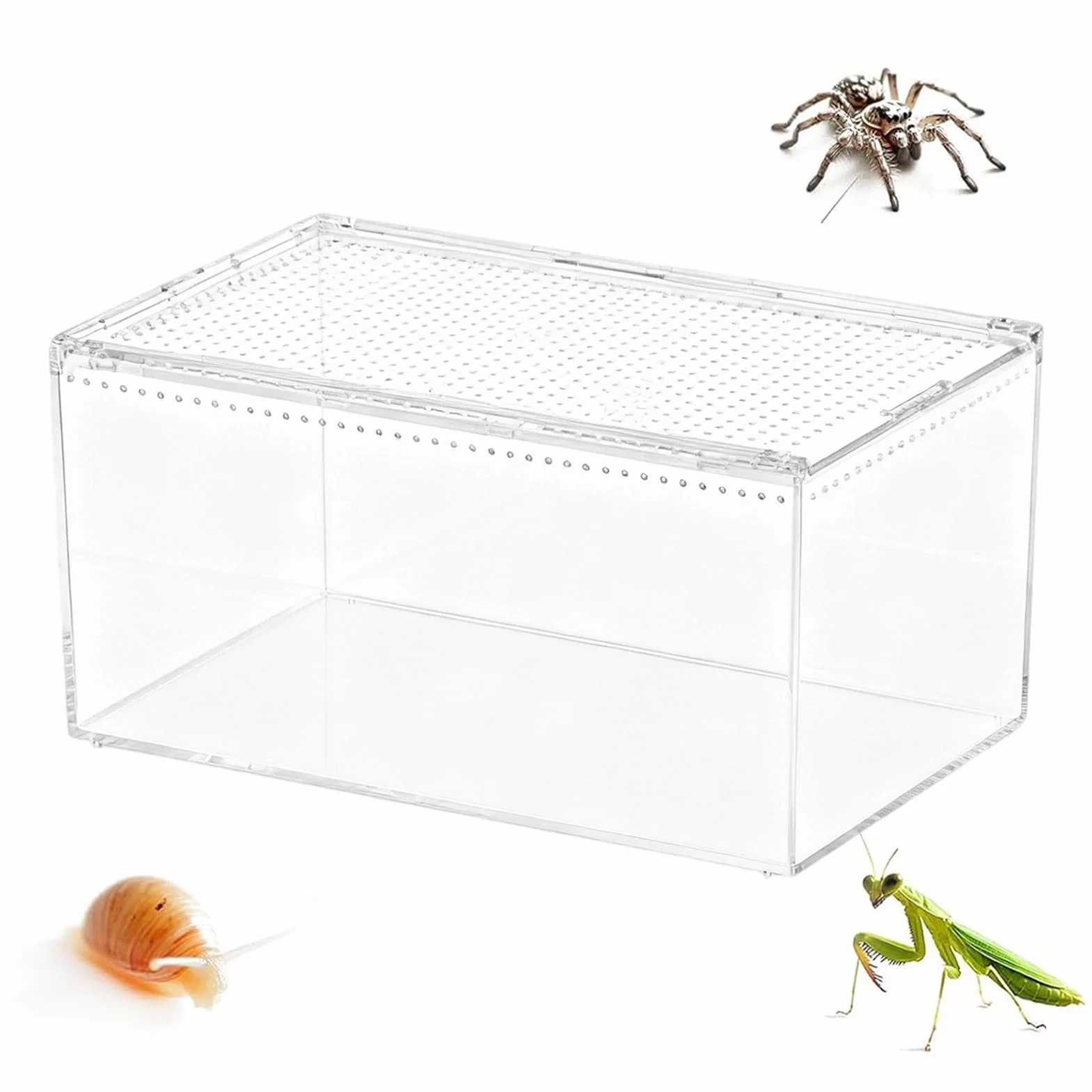 Terrarium Dla Gadów Wentylowane Przezroczyste Akrylowe Zabezpieczone Przed | Terrarium Dla Modliszek Klatka Do Hodowli Jaszczurek Dla Płazów Żab Krabów Gekonów Węży Żółwi Agam Brodatych D