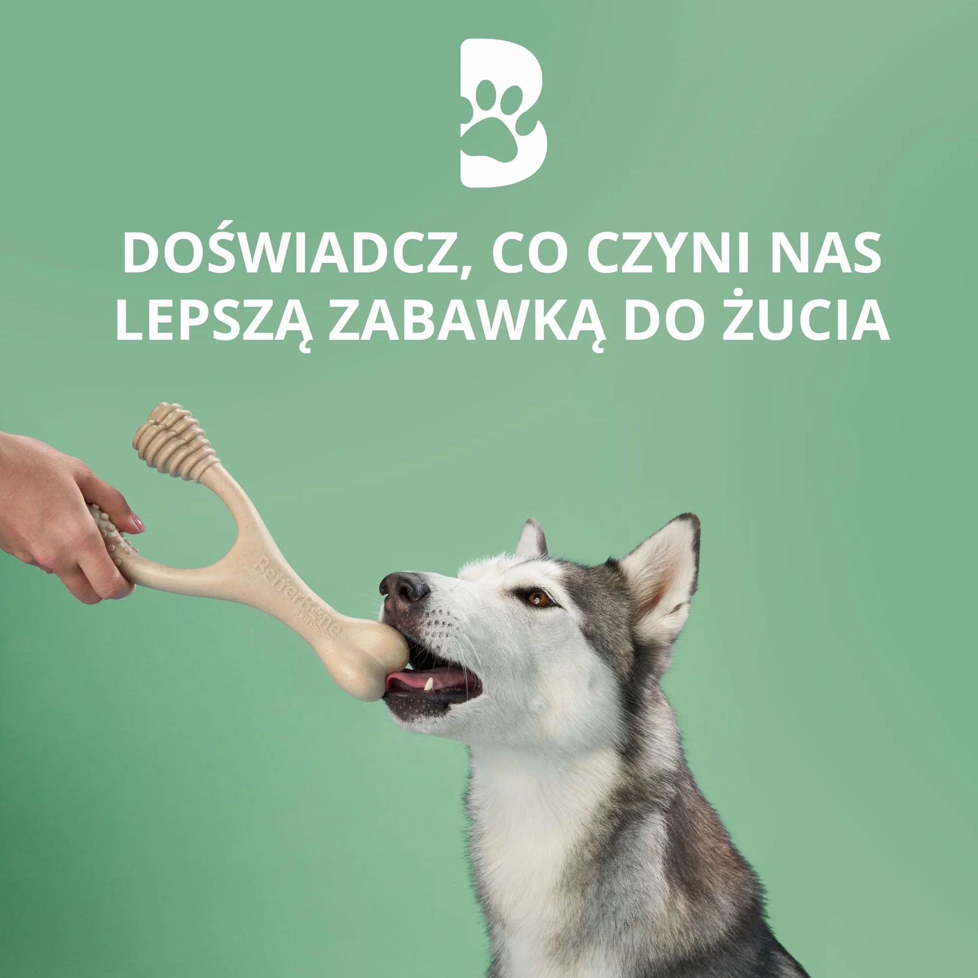 BetterBone - Zabawka dla psa do żucia – Small Medium Classic – wegańska kość do żucia dla psa, bez nylonu i GMO na bazie celulozy, średnio twarda, neutralny smak, nie odpryskuje i hipoalergiczna