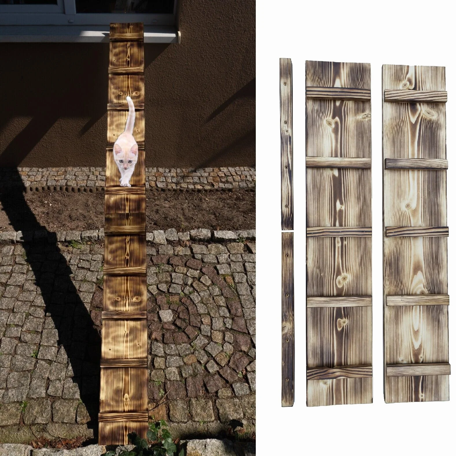 Drabinka dla kotów, opalana, na balkon, od 1 m do 6 m, z hakiem śrubowym, do użytku na zewnątrz, drabina (długość: 2 m)