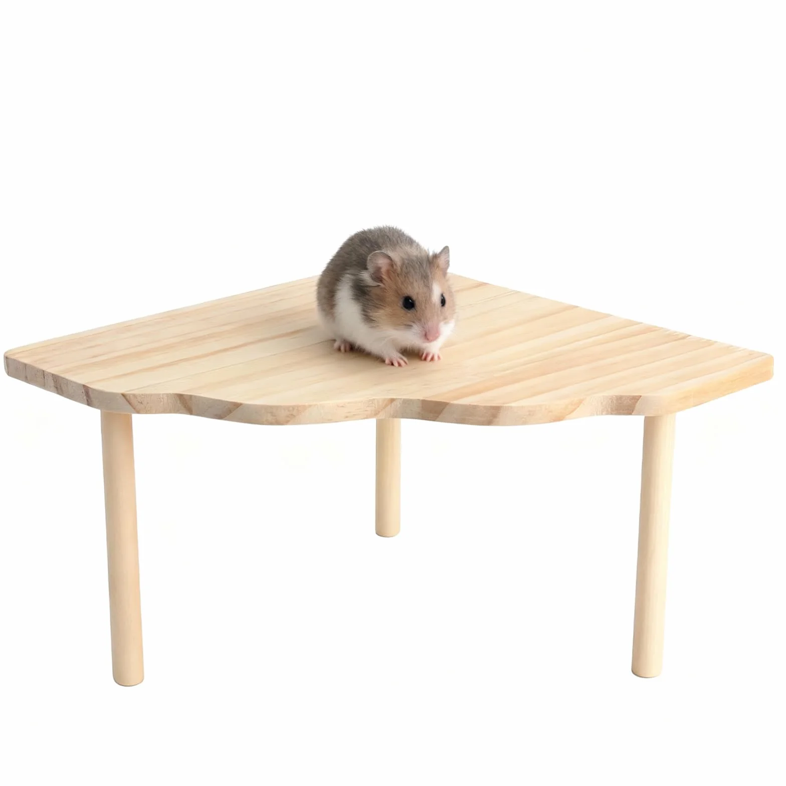 Drewniana platforma dla chomików 22 cm x 13 cm akcesoria do klatki ze szczotką