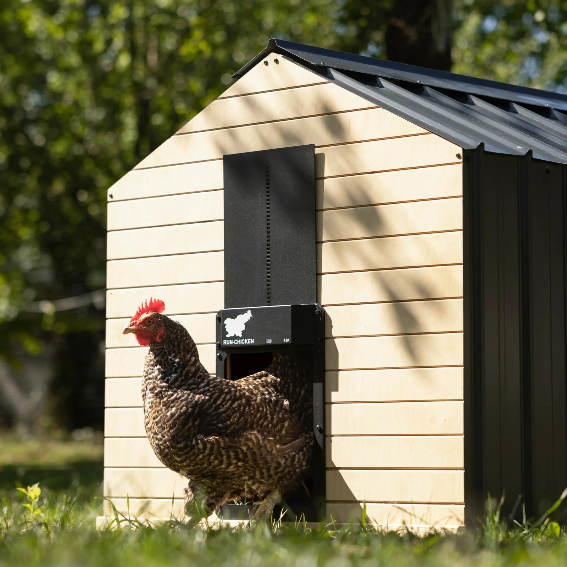 RUN-CHICKEN Drzwi Automatyczne do kurnika, Onyx – Aluminium, zasilanie bateryjne (2 x AA), sterowanie przez aplikację, czujnik światła i timer z opóźnieniem, odporne na warunki atmosferyczne – drzwi