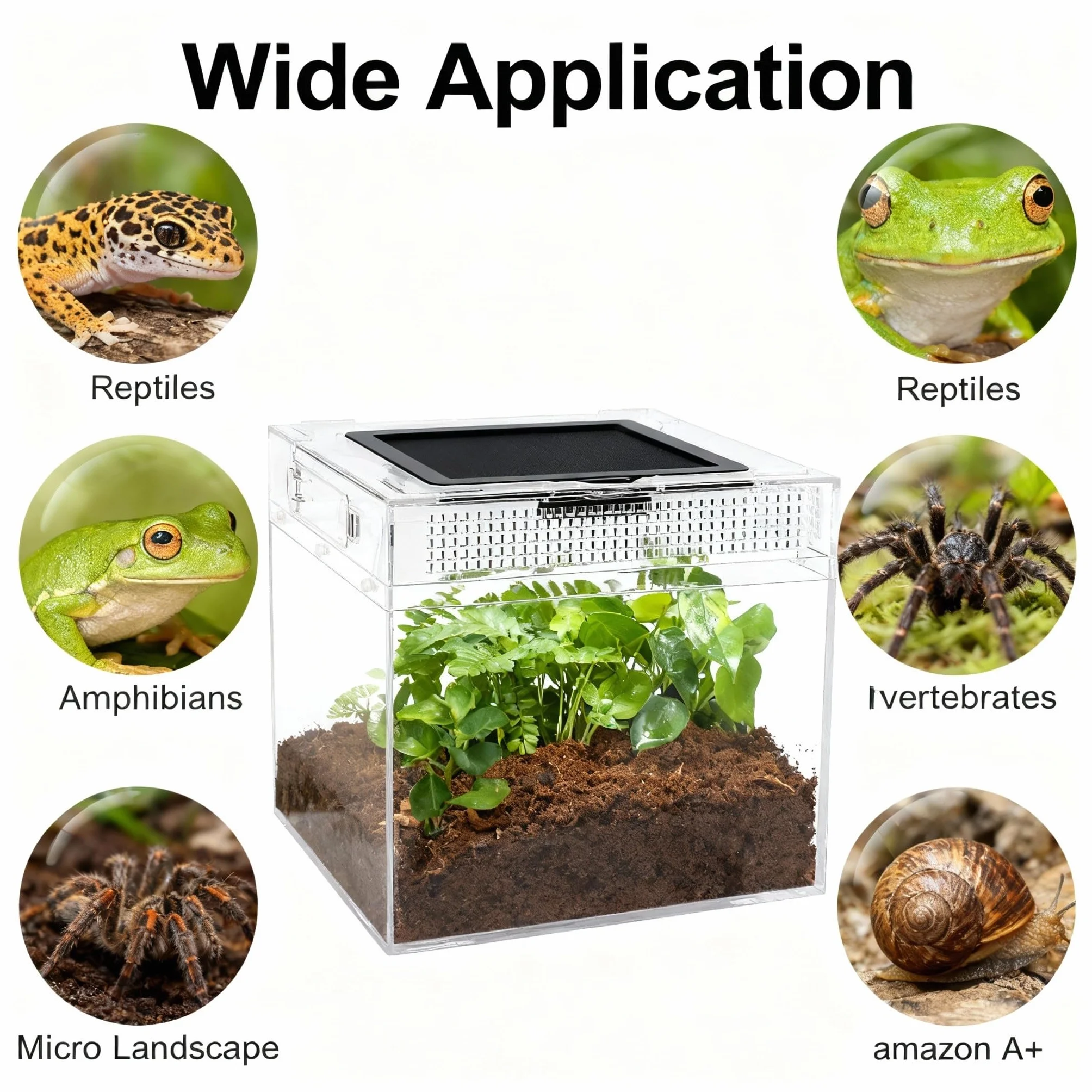 360° Terrarium PC dla gadów, 30*18*22cm Przezroczysta skrzynka karmiąca dla ślimaków, owadów, żółwi wodnych, ptasich pająków, skakunek, gekona lampurskiego, smoka brodacza, żaby (12*7*9 cali)