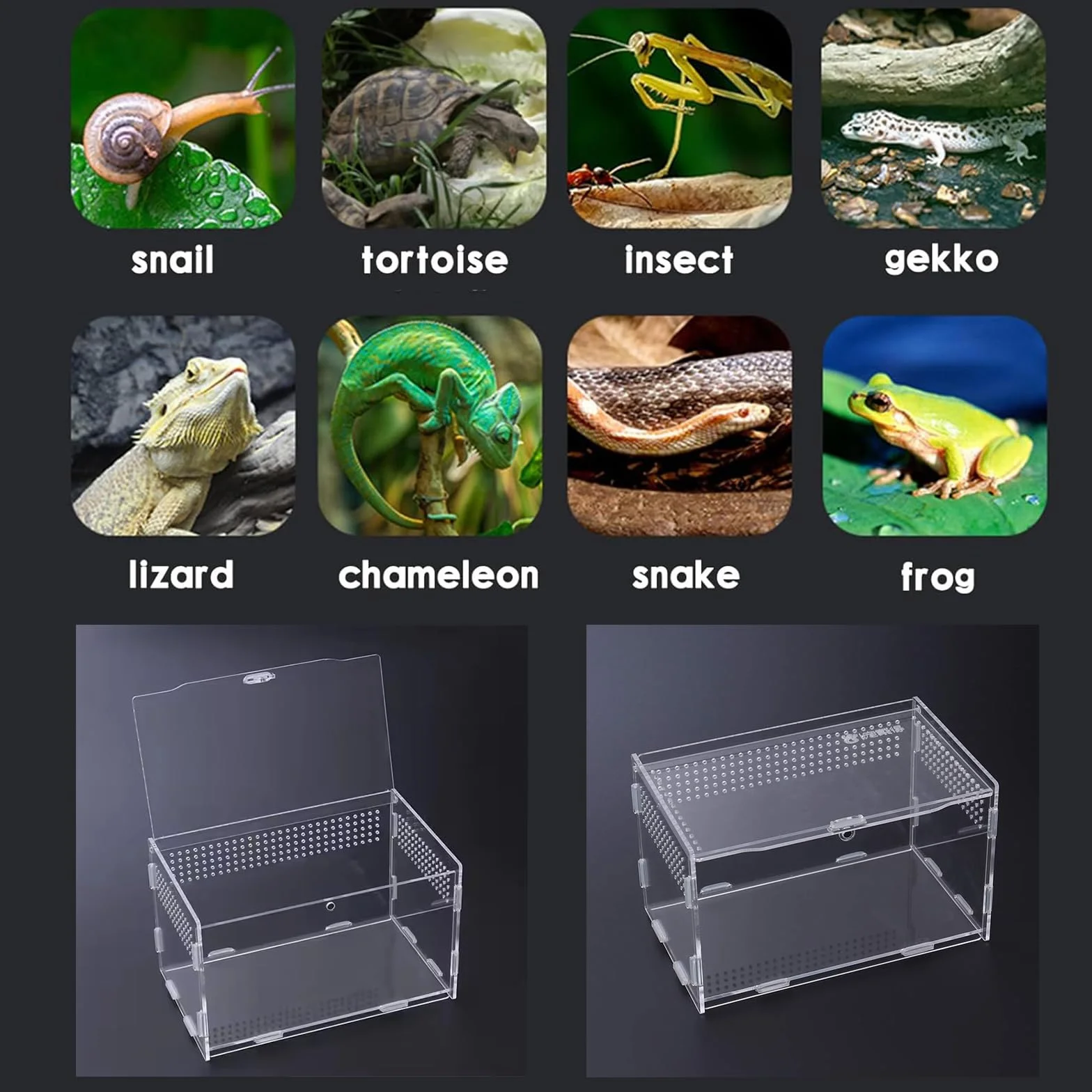 Przezroczyste Terrarium Akrylowe dla Ślimaków i Gadów (20 x 12 x 12 cm) – Pojemnik Transportowy, Klatka Rozrodcza, Pudełko do Karmienia, Mini Terrarium dla Płazów i Gadów
