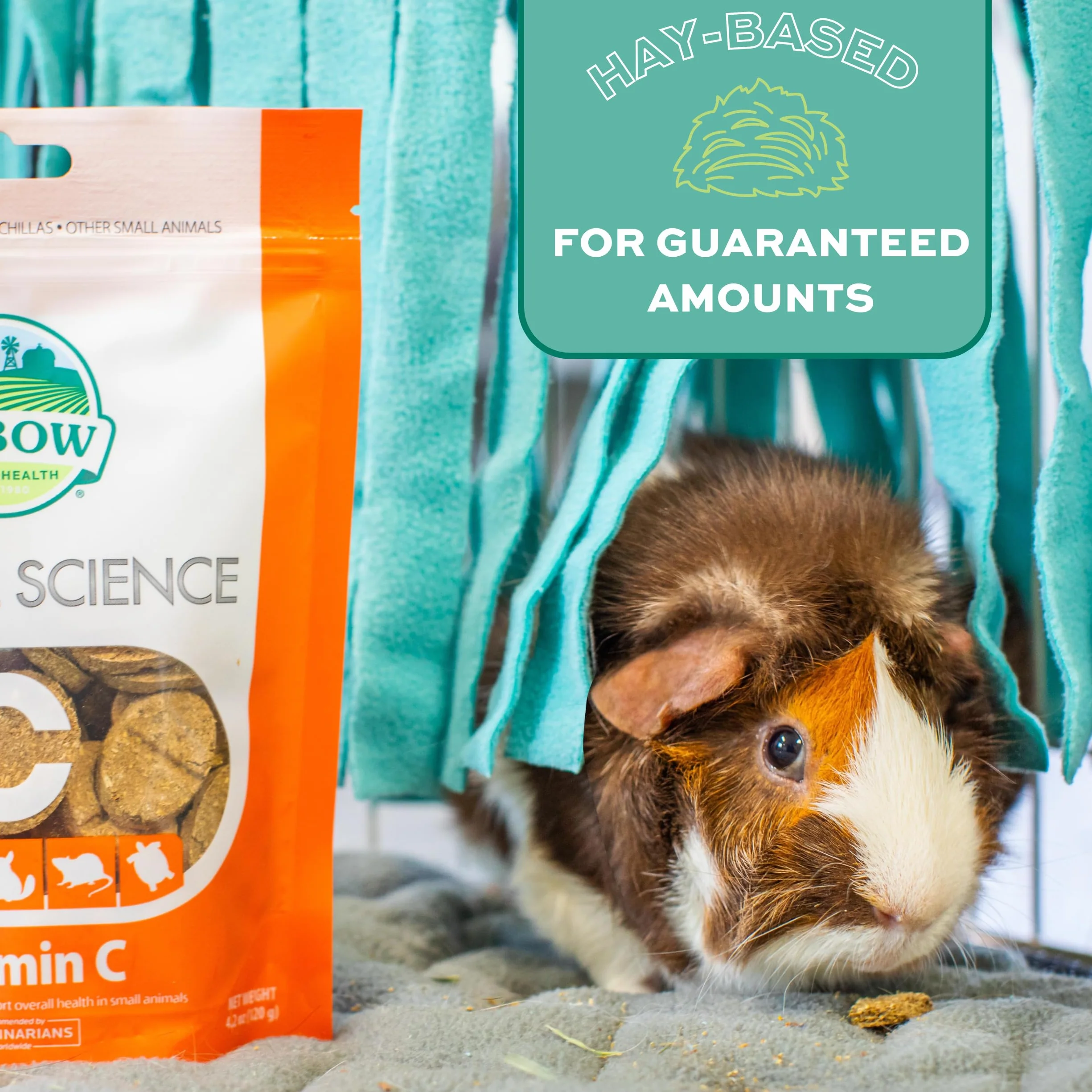 Oxbow Natural Science 60ct Witamina C Suplement Małe zwierzę Gerbil chomik